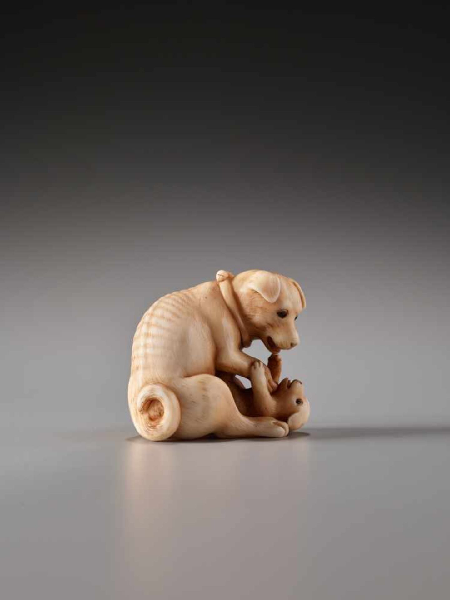 A CHARMING AND FINE NETSUKE OF A DOG WITH PUP BY TANETOSHIBy Tanetoshi, ivory netsukeJapan, 20th - Bild 8 aus 9