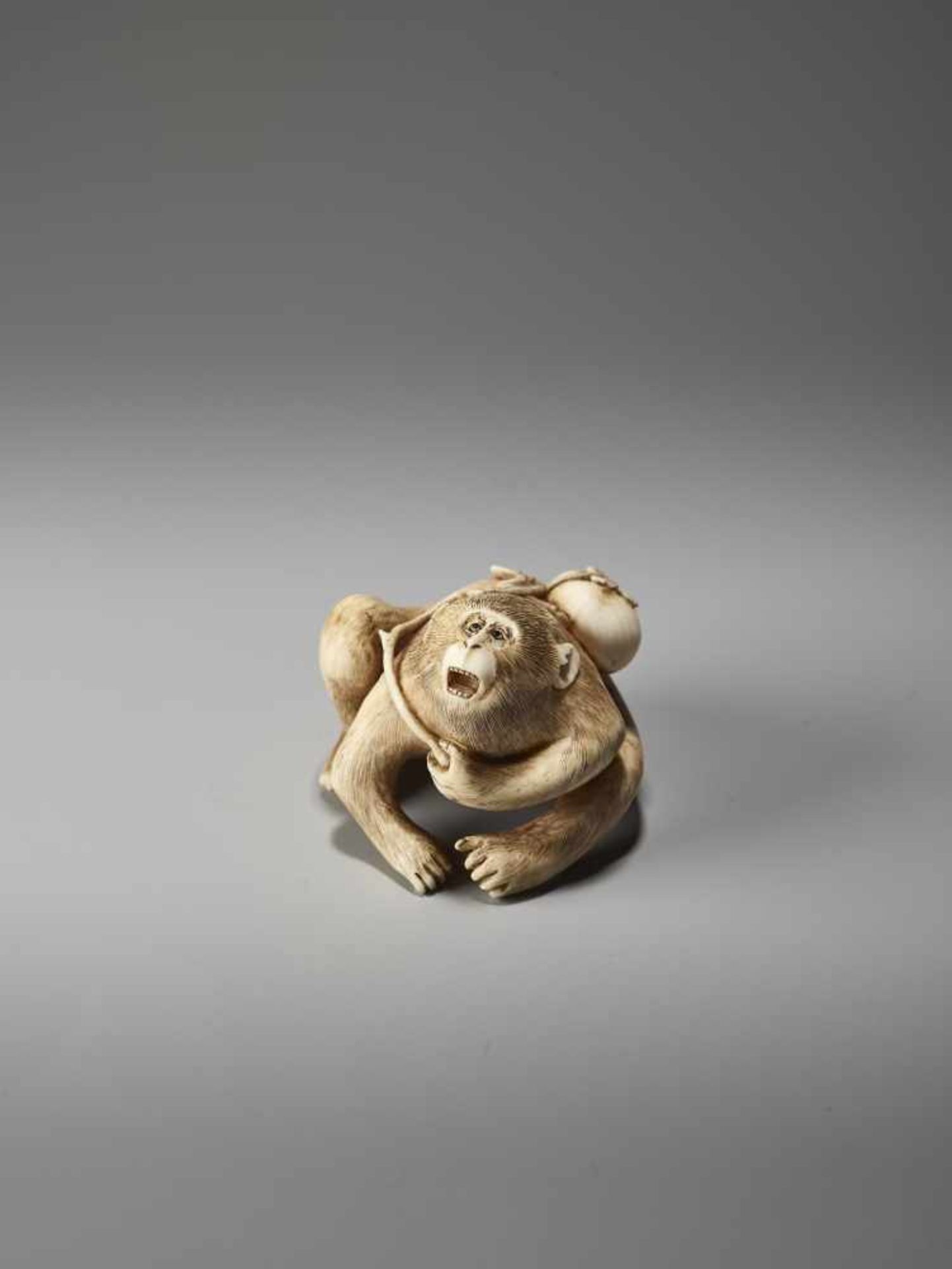 AN IVORY NETSUKE OF A MONKEY WITH KAKI FRUIT BY MASATAMIBy Masatami, ivory netsukeJapan, Tokyo, late