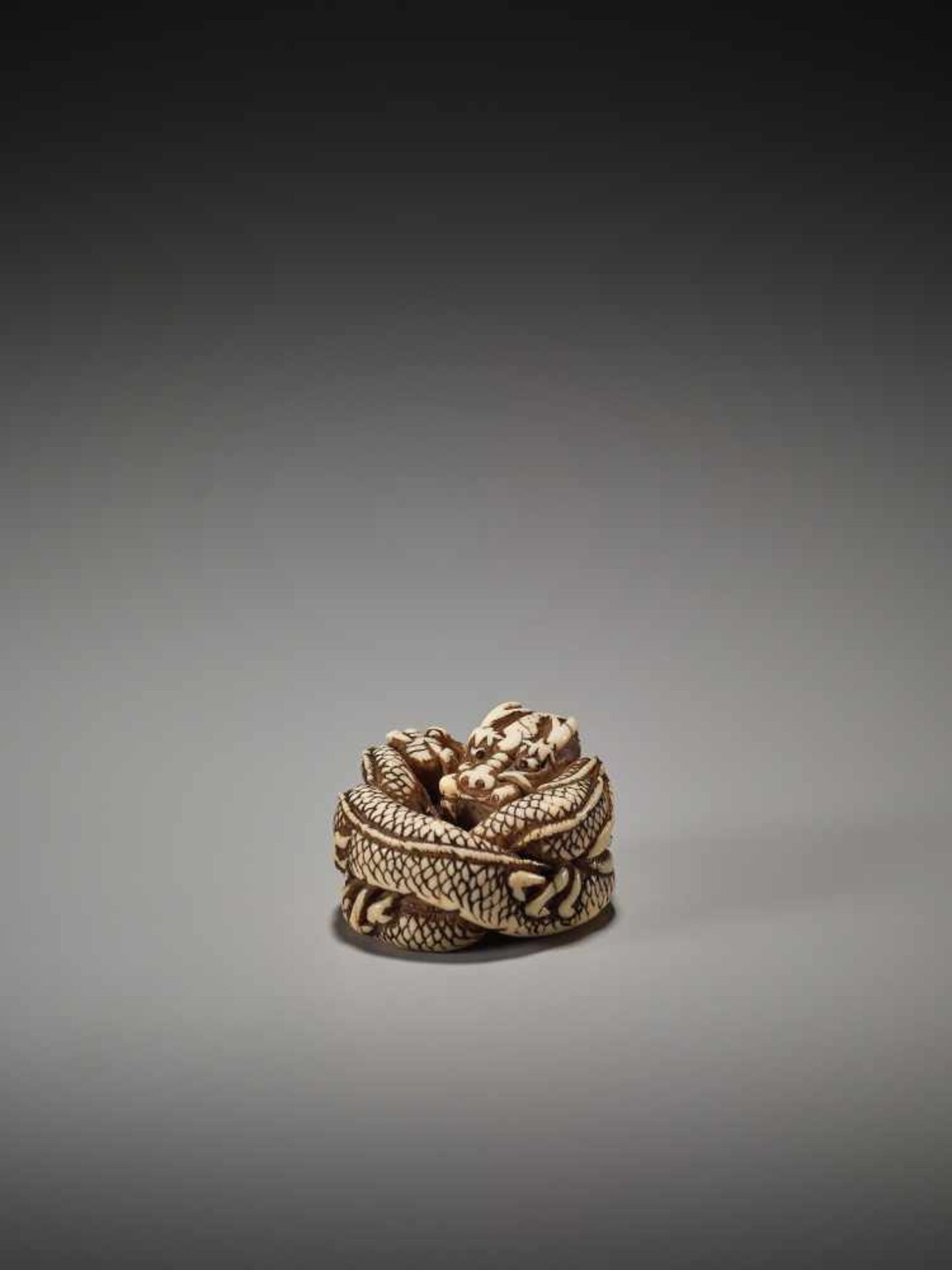 A KYOTO-SCHOOL IVORY NETSUKE OF A COILED DRAGONUnsigned, ivory netsukeJapan, Kyoto, late 18th to