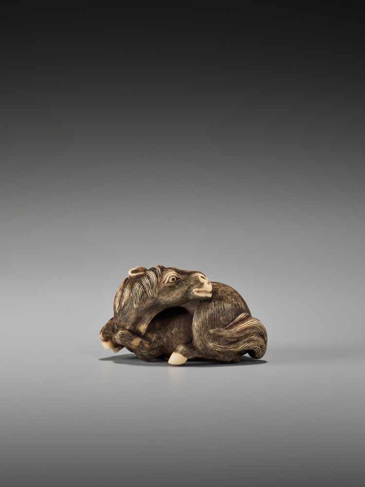 AN EXCELLENT AND RARE IVORY NETSUKE OF A RECUMBENT HORSE BY MITSUHIDEBy Mitsuhide, ivory - Image 2 of 13