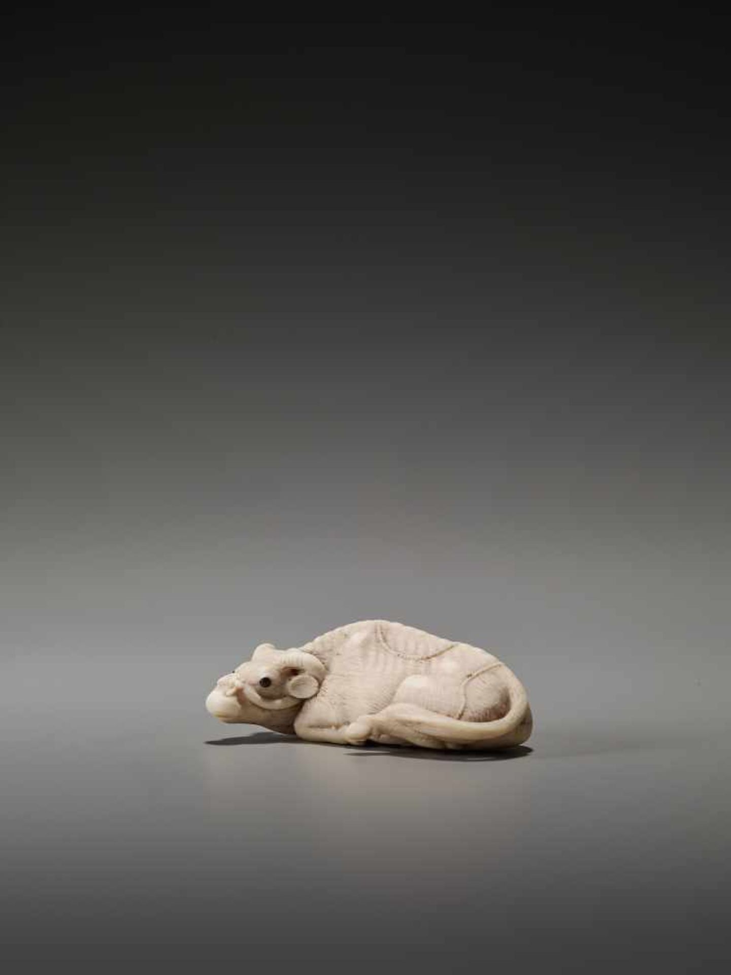 A FINE IVORY NETSUKE OF A RECUMBENT OX AFTER TOMOTADAAfter Tomotada, ivory netsukeJapan, Kyoto, 19th - Bild 4 aus 8