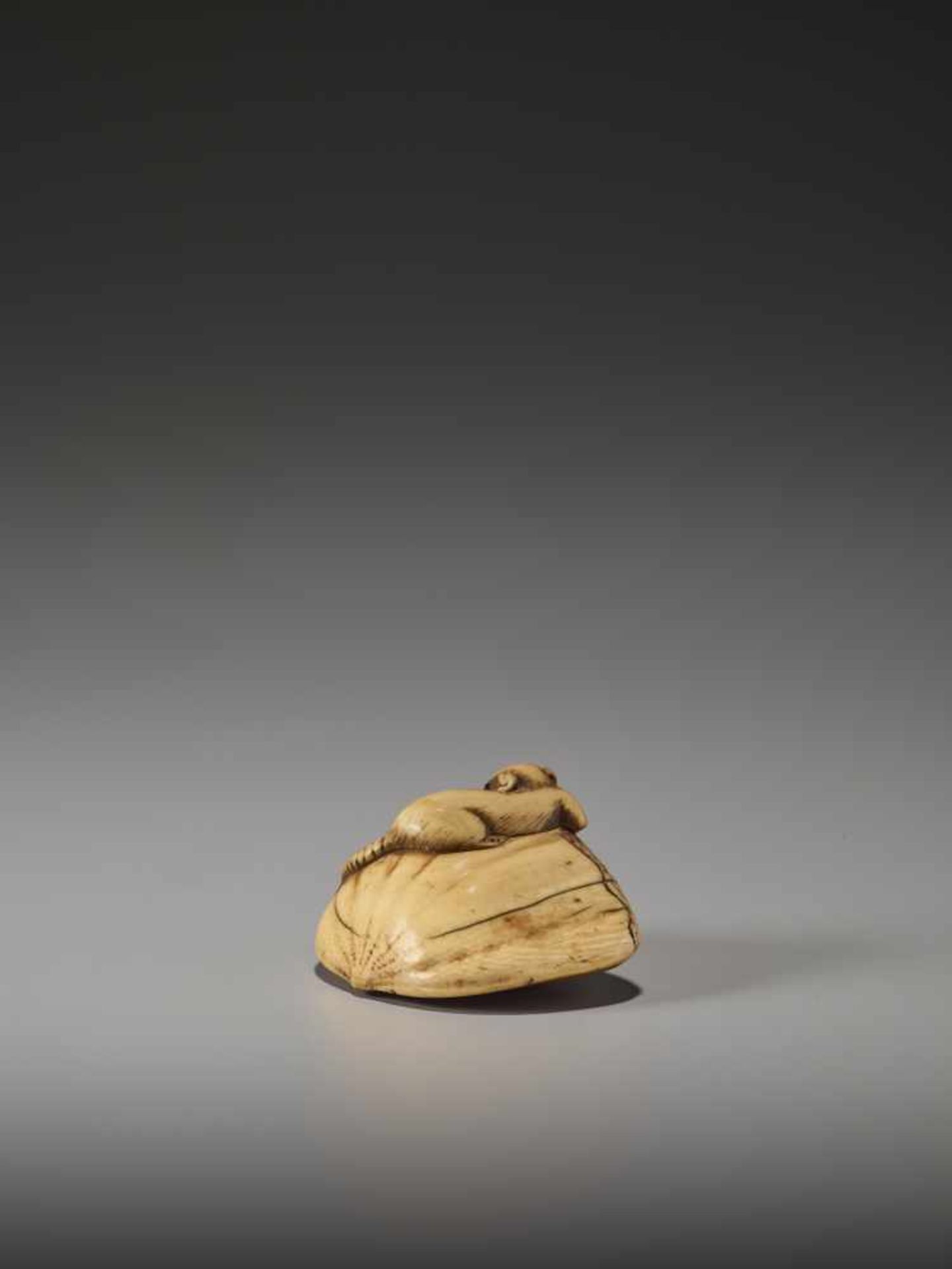 AN IVORY NETSUKE OF A RAT ON A LARGE CHESTNUTUnsigned, ivory netsukeJapan, probably Kyoto, early - Bild 4 aus 6