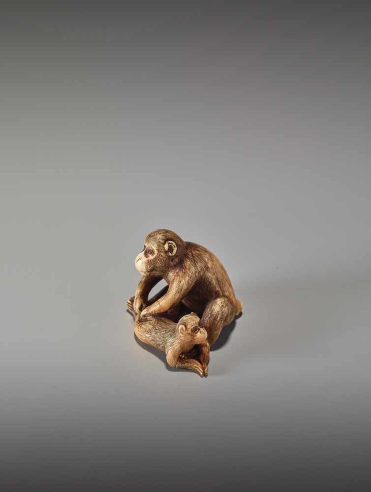 A RARE IVORY NETSUKE OF TWO GROOMING MONKEYS BY MASANAO OF KYOTOBy Masanao, ivory netsukeJapan, - Bild 5 aus 11