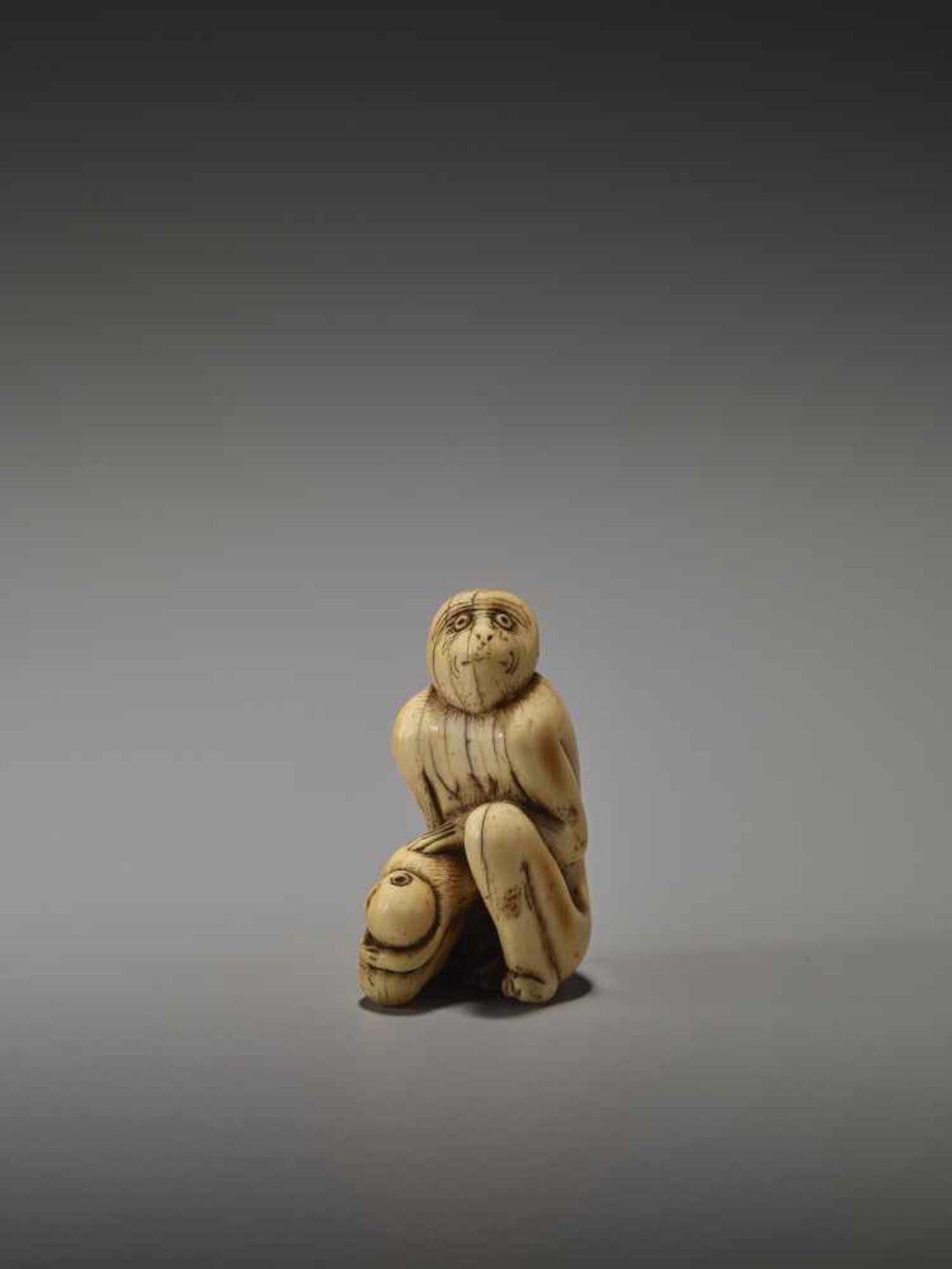 A RARE AND EARLY IVORY NETSUKE OF TWO MONKEYSUnsigned, ivory netsukeJapan, 18th century, Edo - Image 3 of 9