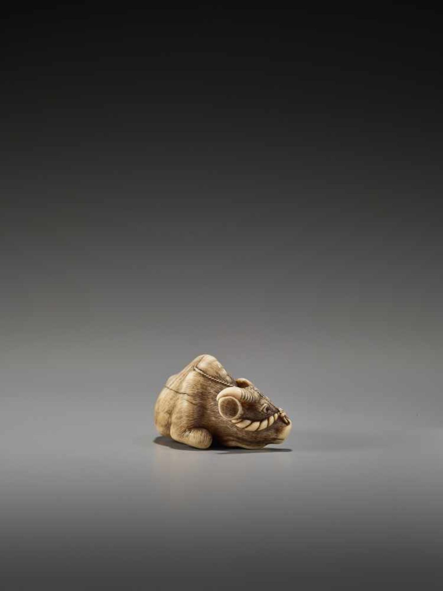 AN EXCELLENT IVORY NETSUKE OF A RECUMBENT OX BY TOMOTADABy Tomotada, ivory netsukeJapan, Kyoto, 18th - Image 5 of 12