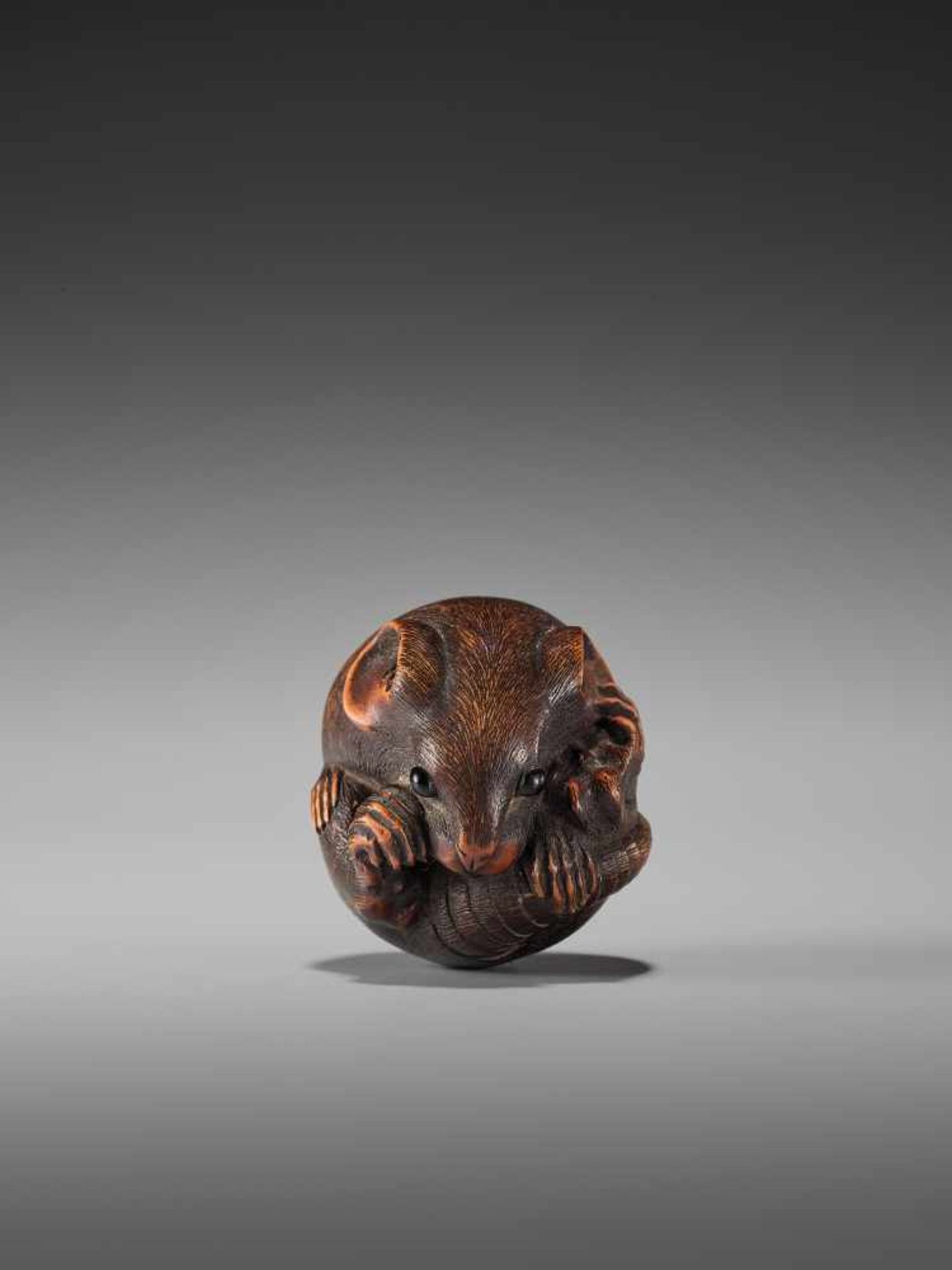 A LARGE WOOD NETSUKE OF A COILED RAT BY MASANAOBy Masanao, wood netsukeJapan, Ise-Yamada, 19th - Bild 2 aus 9