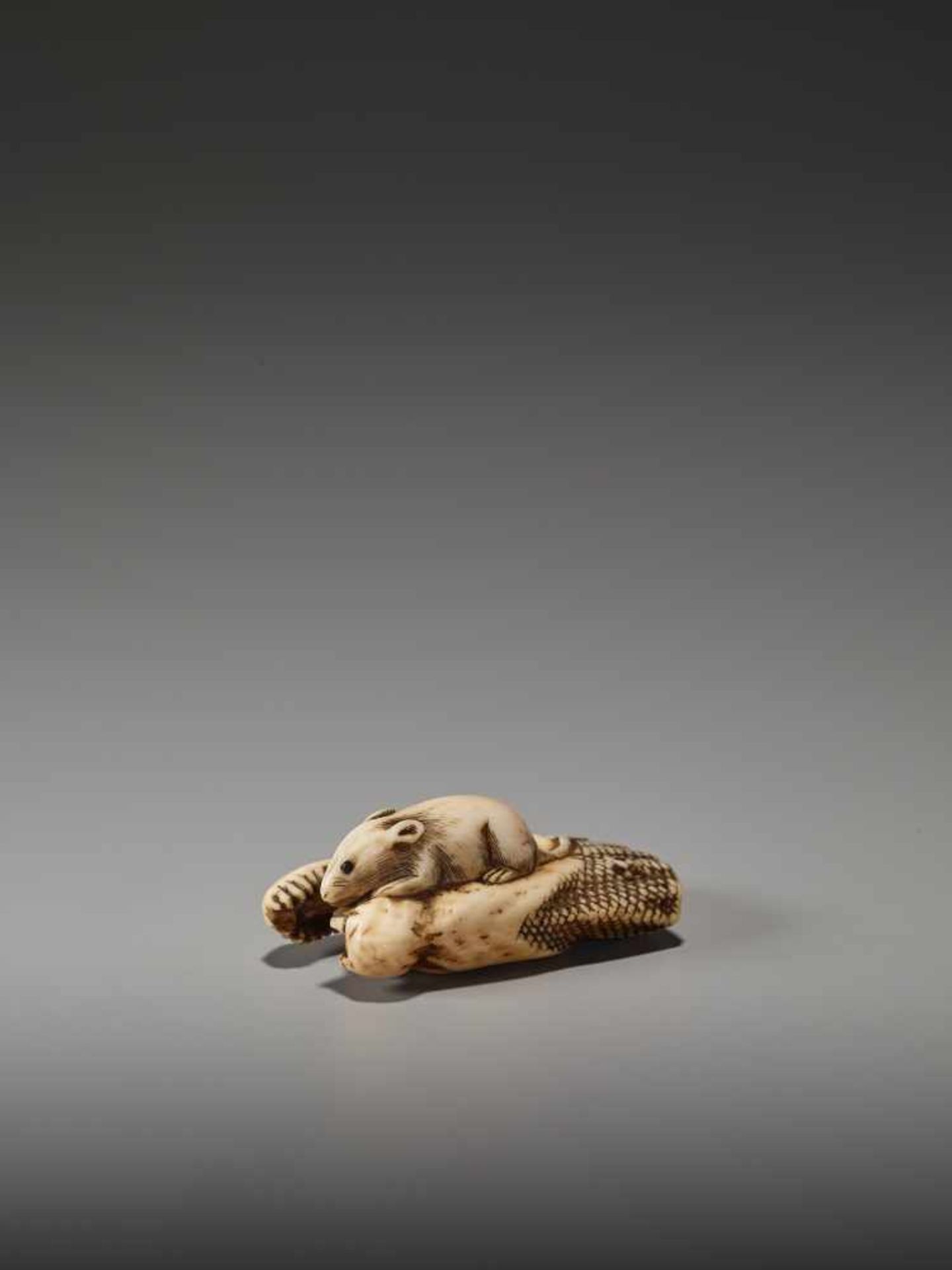 AN IVORY NETSUKE OF A RAT ON A DRIED SALMON HEADUnsigned, ivory netsukeJapan, 19th century, Edo - Bild 4 aus 7