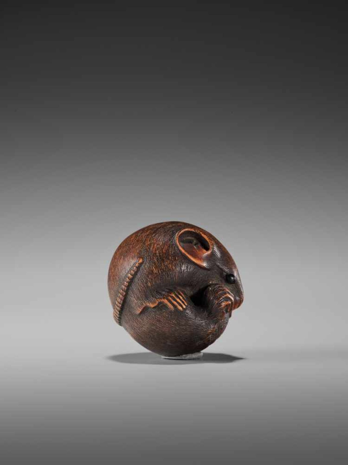 A LARGE WOOD NETSUKE OF A COILED RAT BY MASANAOBy Masanao, wood netsukeJapan, Ise-Yamada, 19th - Bild 6 aus 9