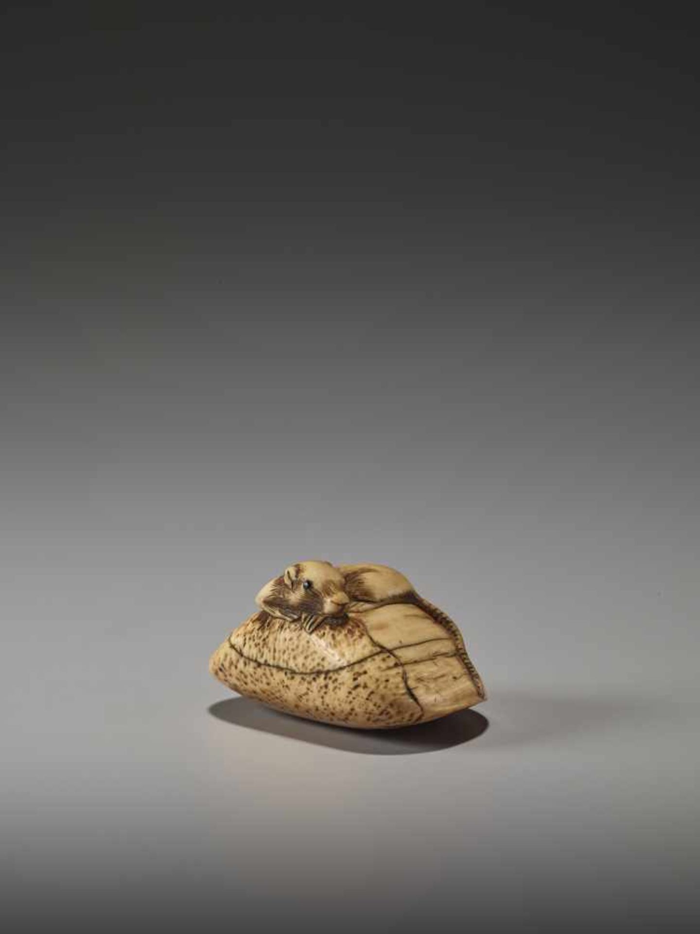 AN IVORY NETSUKE OF A RAT ON A LARGE CHESTNUTUnsigned, ivory netsukeJapan, probably Kyoto, early