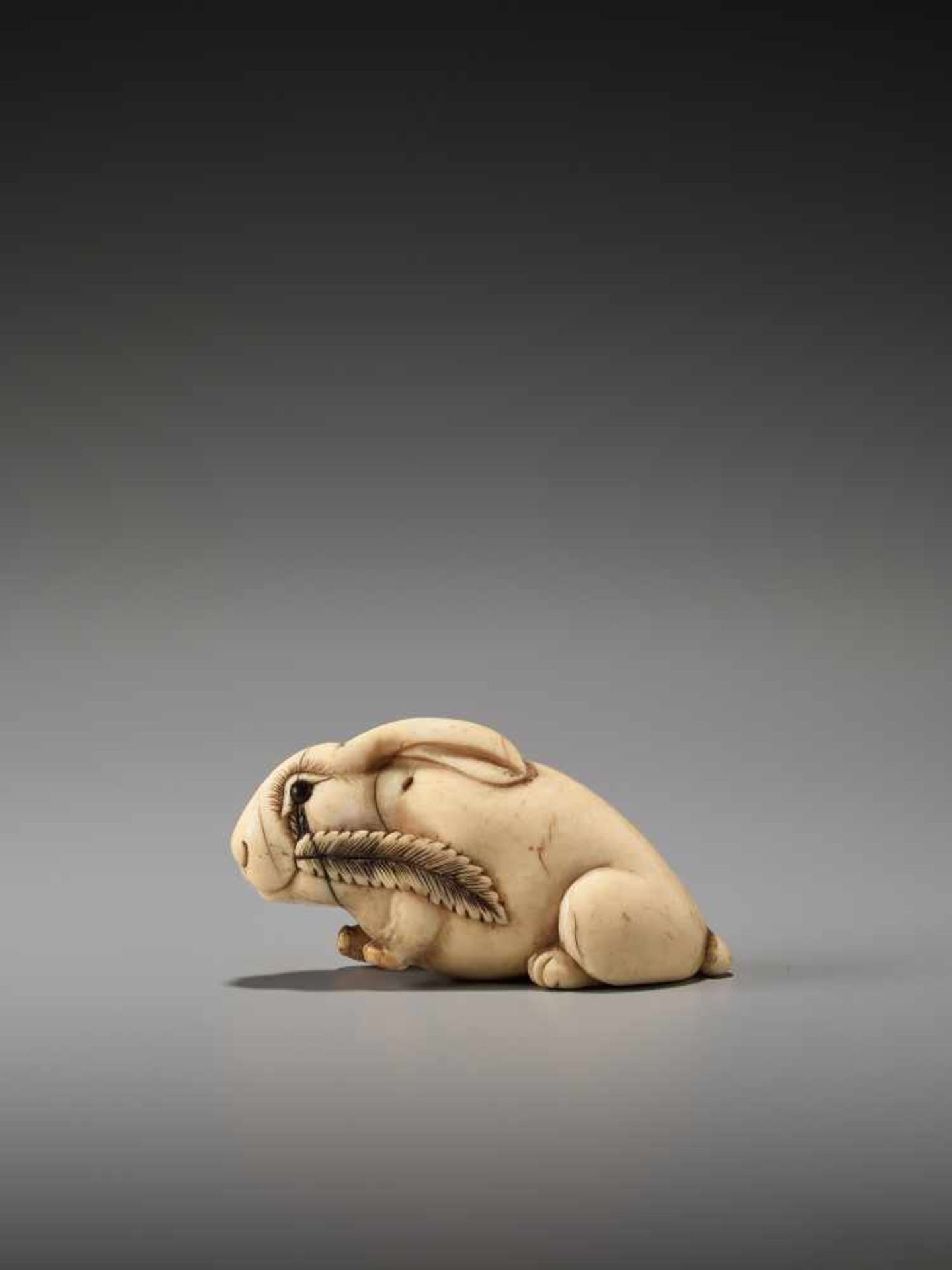 AN UNUSUAL AND AMUSING IVORY NETSUKE OF A RABBITUnsigned, ivory netsukeJapan, 19th century, Edo - Image 2 of 6