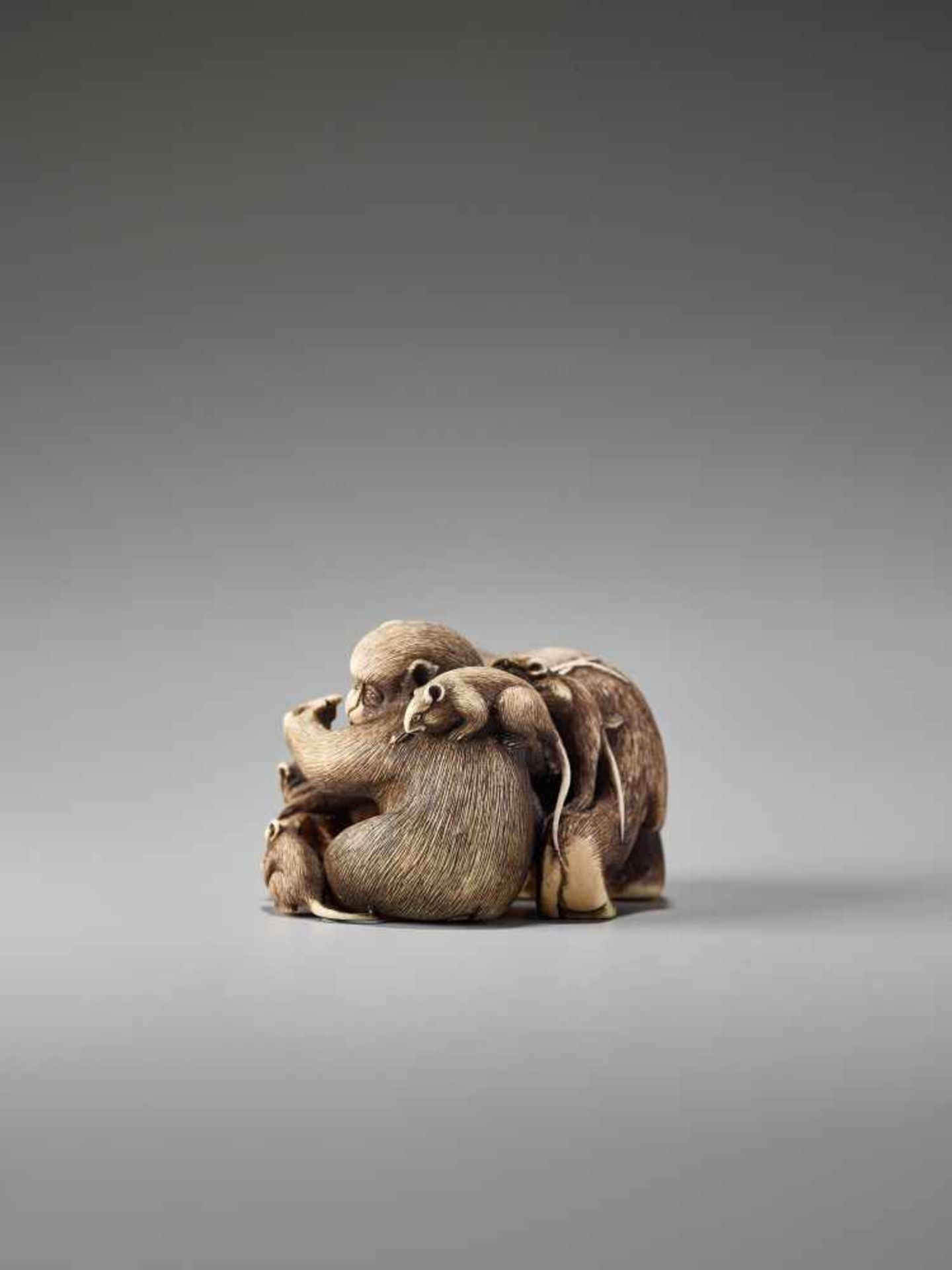 AN IVORY NETSUKE OF MONKEYS AND RATS BY GYOKUMINBy Gyokumin, ivory netsukeJapan, 19th century, Edo - Image 3 of 7