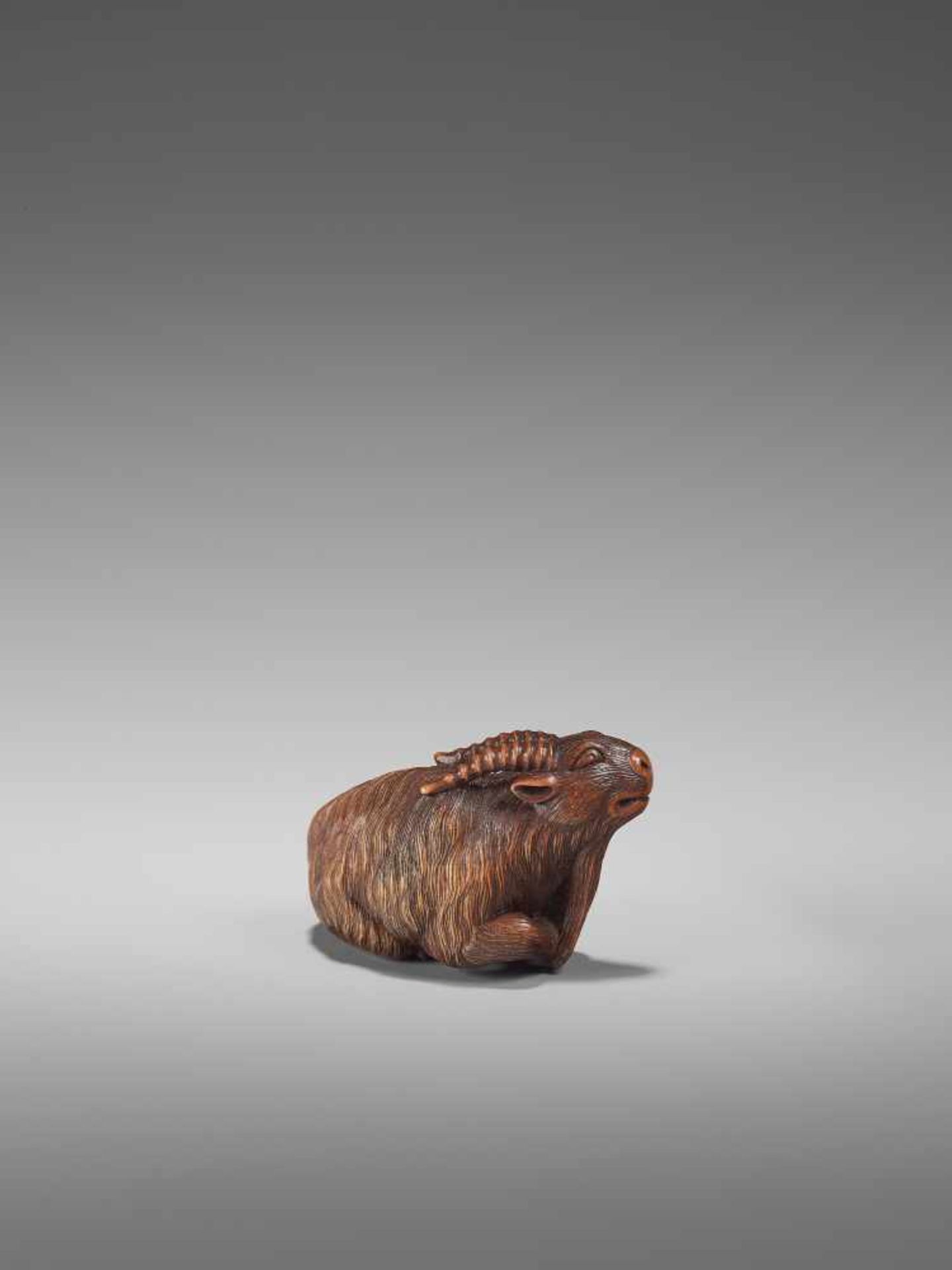 A FINE WOOD NETSUKE OF A GOAT BY KOKEIBy Kokei, wood netsukeJapan, Kuwana, Ise province, early - Image 8 of 14