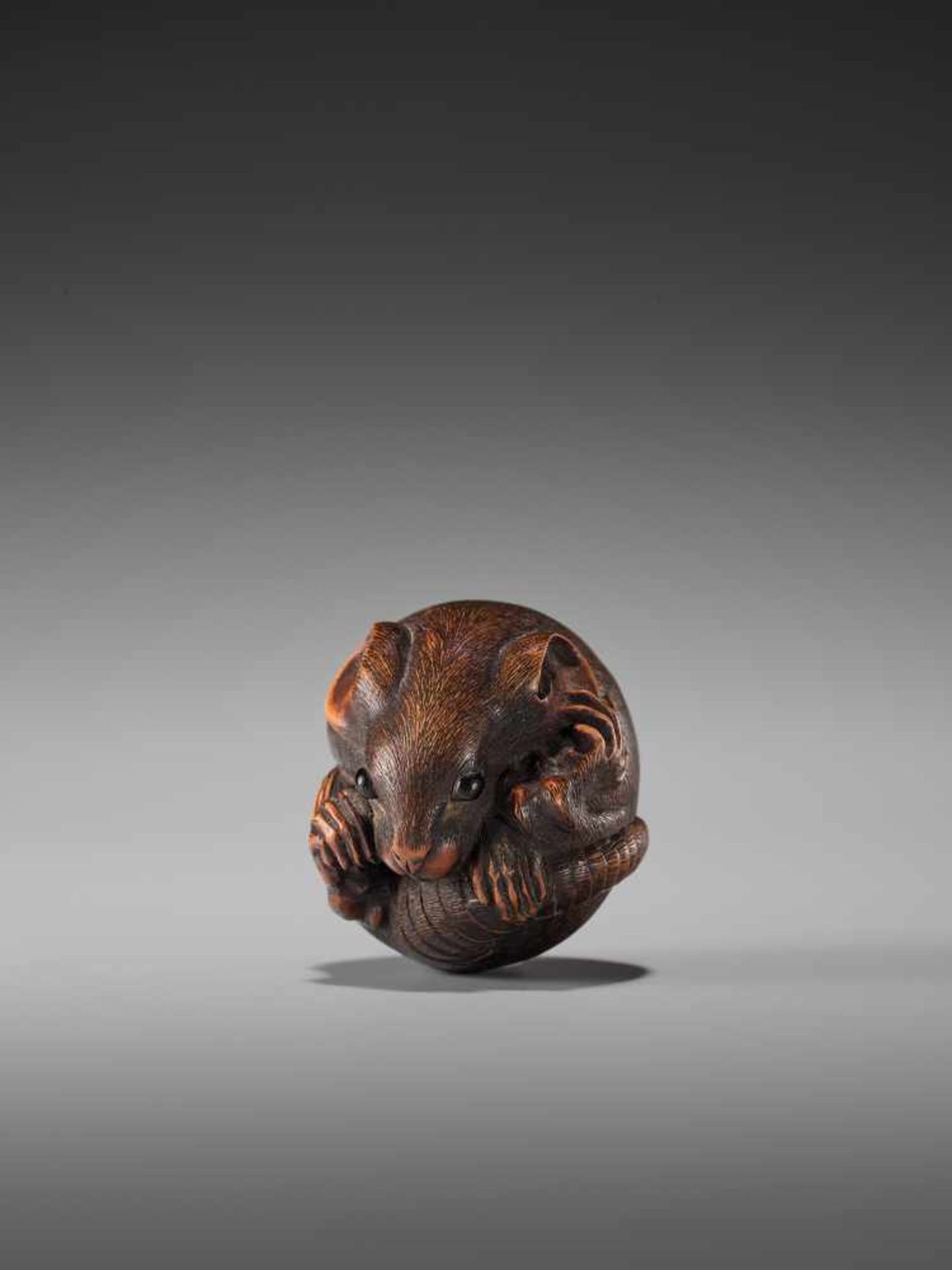 A LARGE WOOD NETSUKE OF A COILED RAT BY MASANAOBy Masanao, wood netsukeJapan, Ise-Yamada, 19th - Image 3 of 9