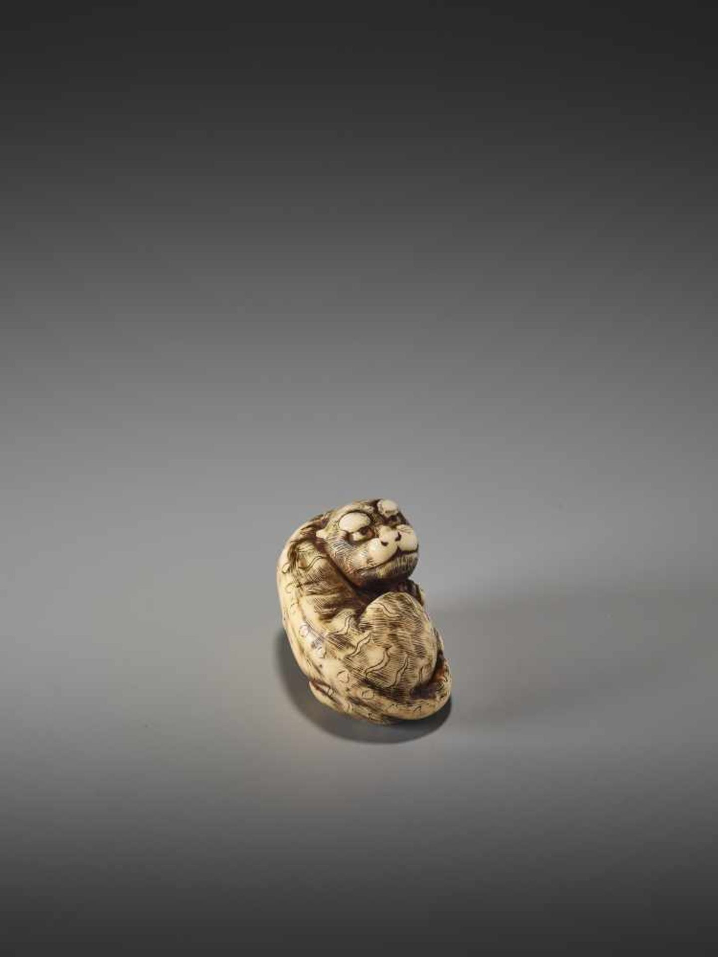 A GOOD KYOTO SCHOOL IVORY NETSUKE OF A TIGERUnsigned, ivory netsukeJapan, Kyoto, early 19th century, - Bild 4 aus 7