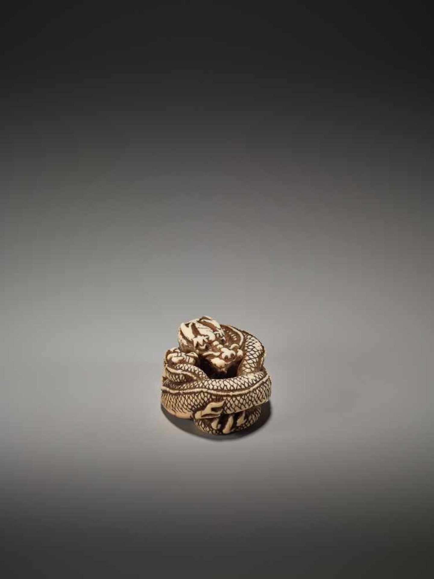 A KYOTO-SCHOOL IVORY NETSUKE OF A COILED DRAGONUnsigned, ivory netsukeJapan, Kyoto, late 18th to - Image 6 of 8