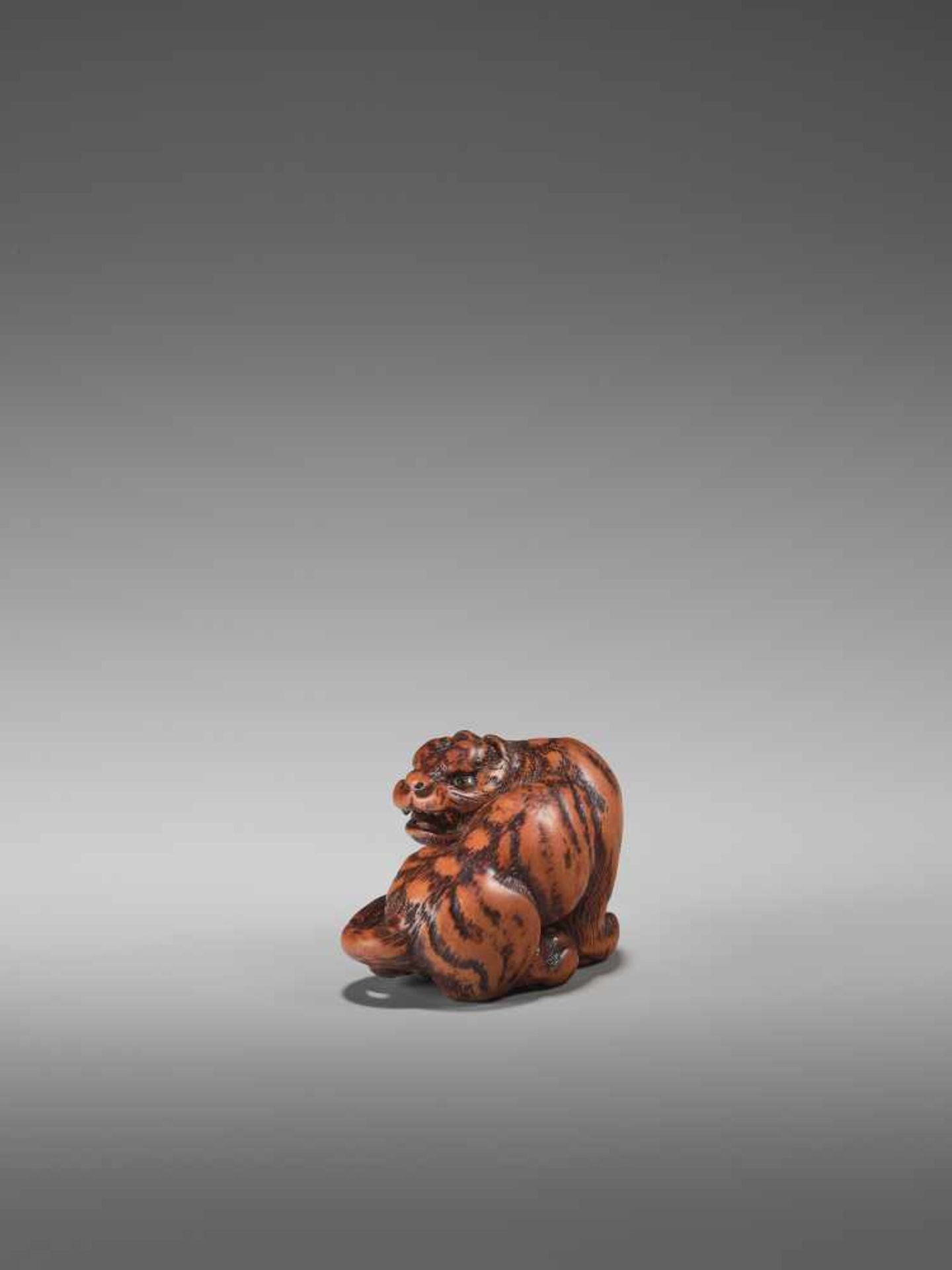 A FINE WOOD NETSUKE OF A TIGER BY TOMINBy Tomin, signed Minko, wood netsukeJapan, Tsu, Ise province, - Bild 3 aus 9