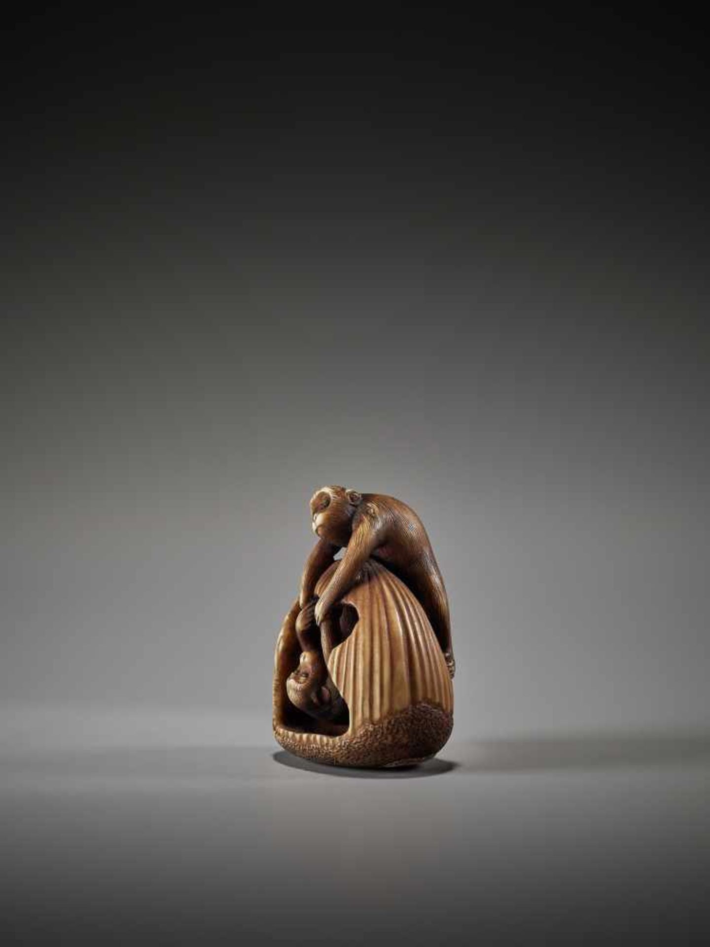 AN AMUSING IVORY NETSUKE OF TWO ACROBATIC MONKEYS IN A CHESTNUT BY TAMEKAZUBy Tamekazu, ivory - Bild 4 aus 7