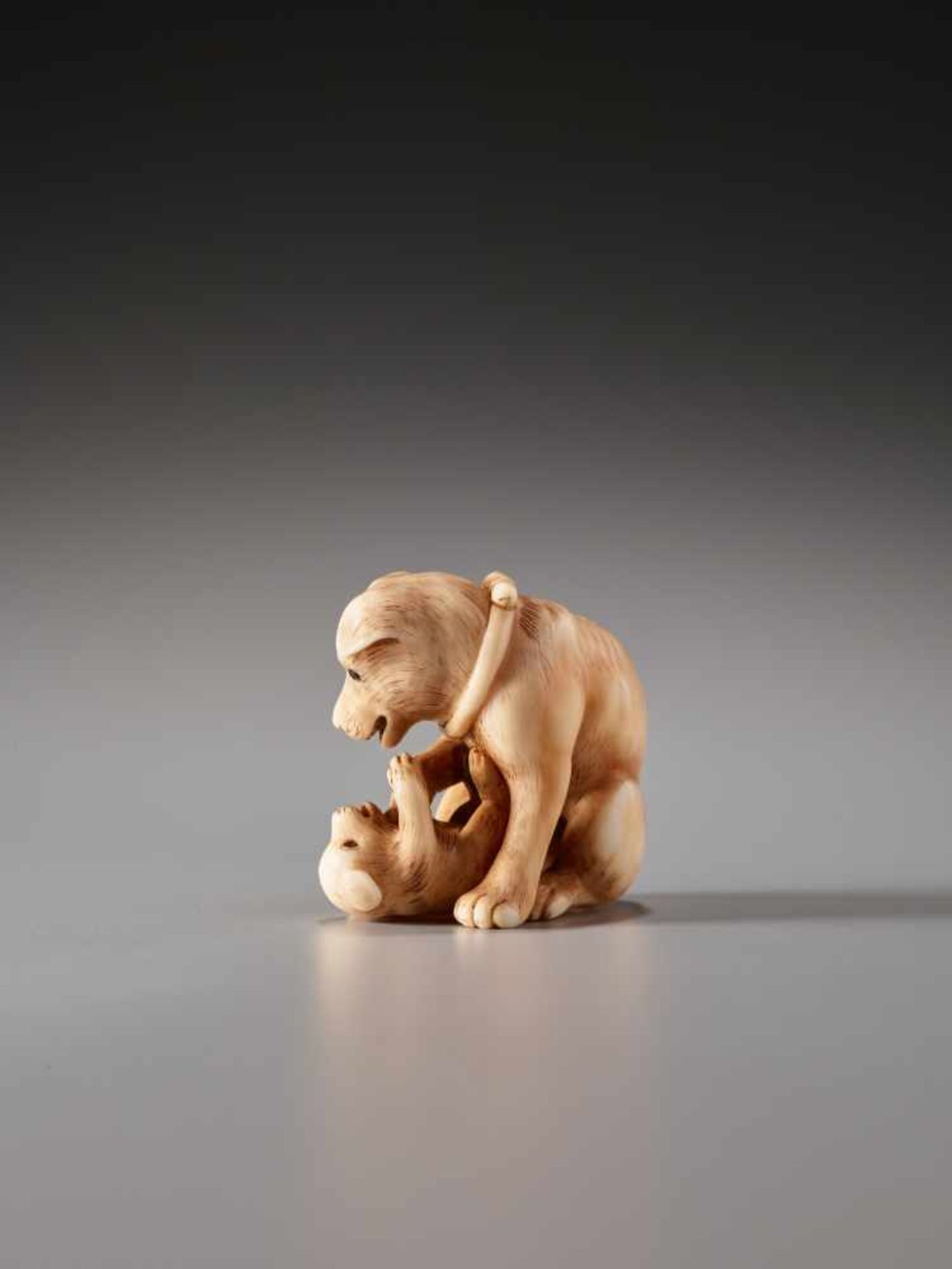 A CHARMING AND FINE NETSUKE OF A DOG WITH PUP BY TANETOSHIBy Tanetoshi, ivory netsukeJapan, 20th - Image 6 of 9