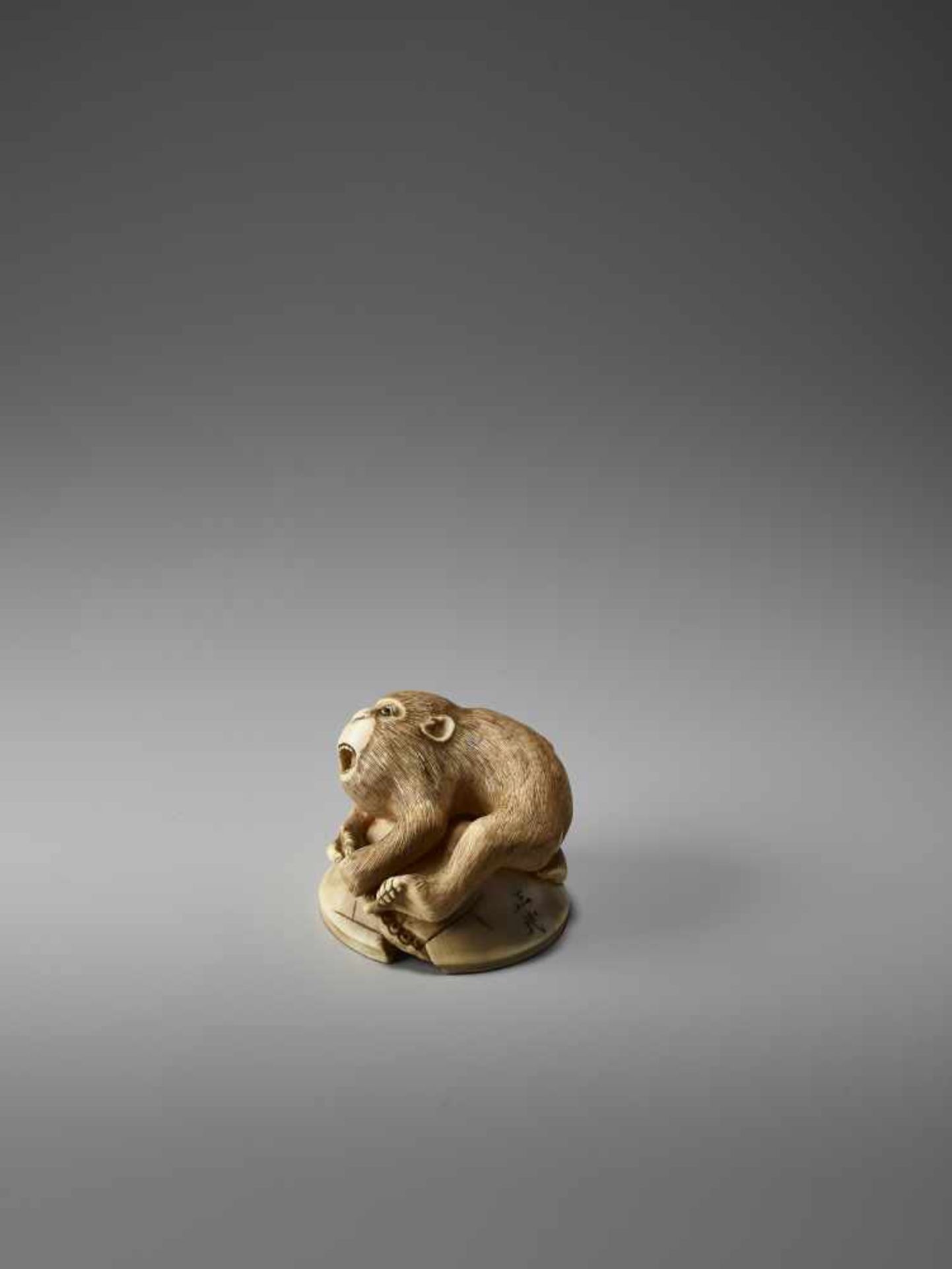 AN IVORY NETSUKE OF A MONKEY TRAPPING AN OCTOPUS BY MASATAMIBy Masatami, ivory netsukeJapan, - Bild 3 aus 10