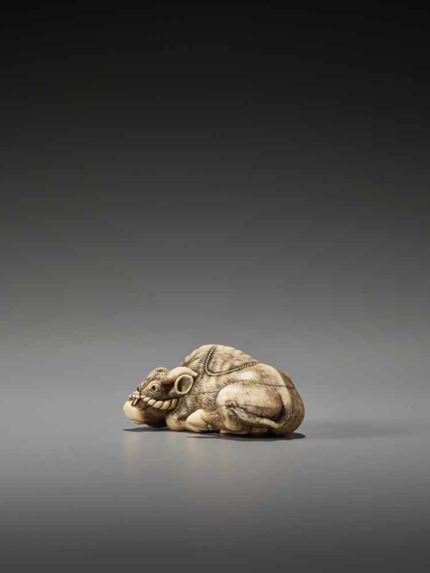 AN EXCELLENT IVORY NETSUKE OF A RECUMBENT OX BY TOMOTADABy Tomotada, ivory netsukeJapan, Kyoto, 18th - Image 3 of 12