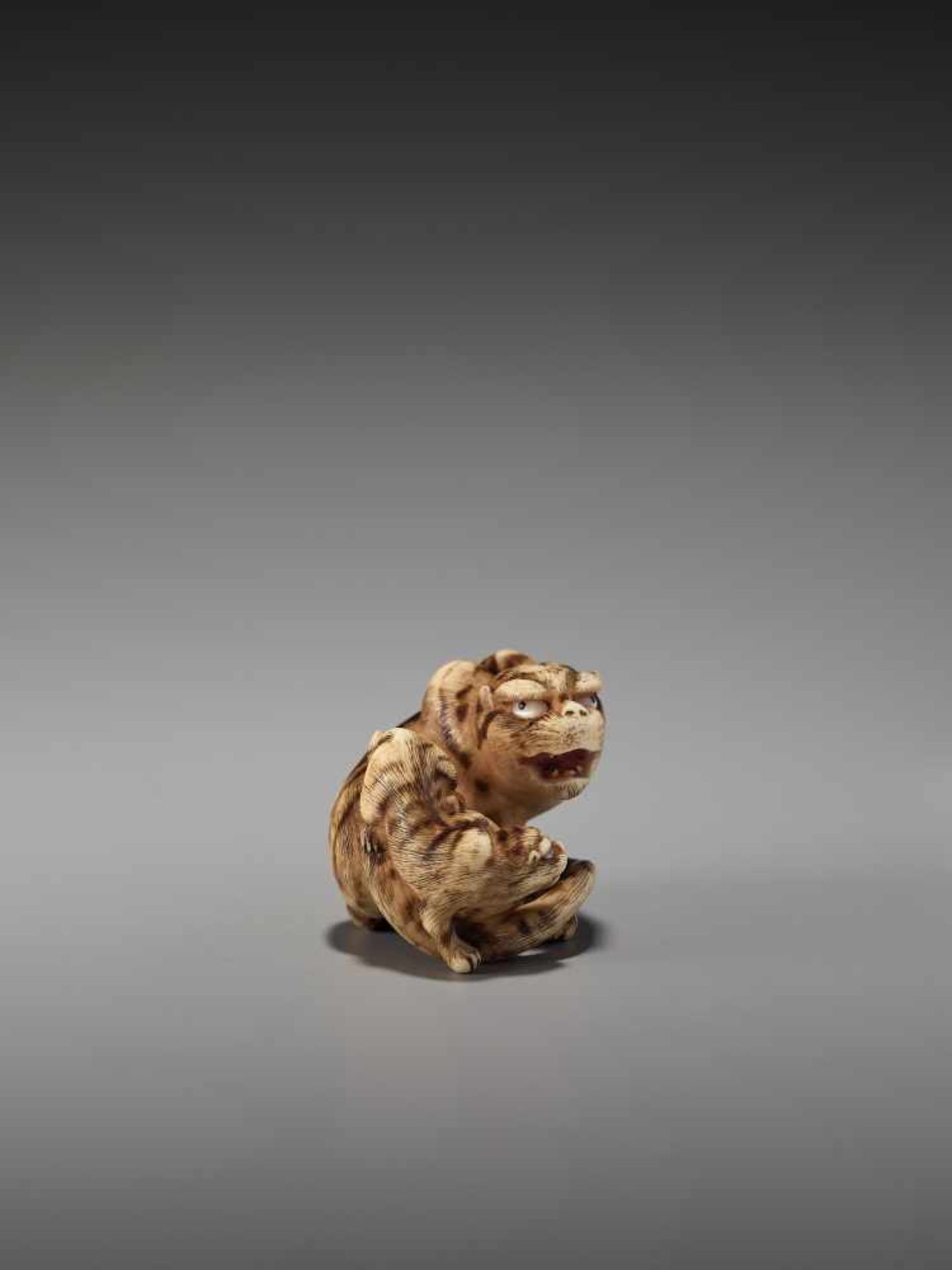 AN EXCEPTIONAL IVORY NETSUKE OF A TIGER WITH CUB BY HAKURYUBy Hakuryu, ivory netsukeJapan, Kyoto, - Image 6 of 13