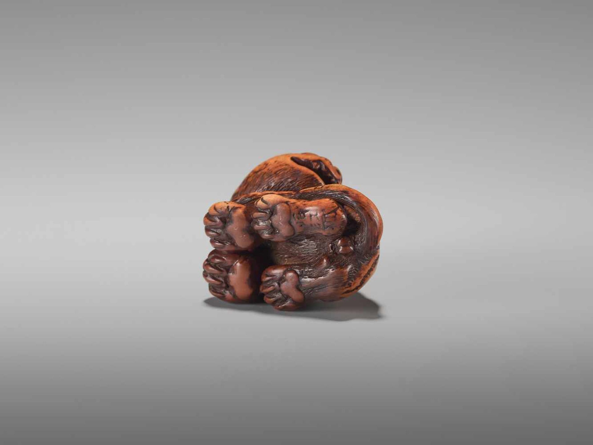 A FINE WOOD NETSUKE OF A TIGER BY TOMINBy Tomin, signed Minko, wood netsukeJapan, Tsu, Ise province, - Bild 8 aus 9