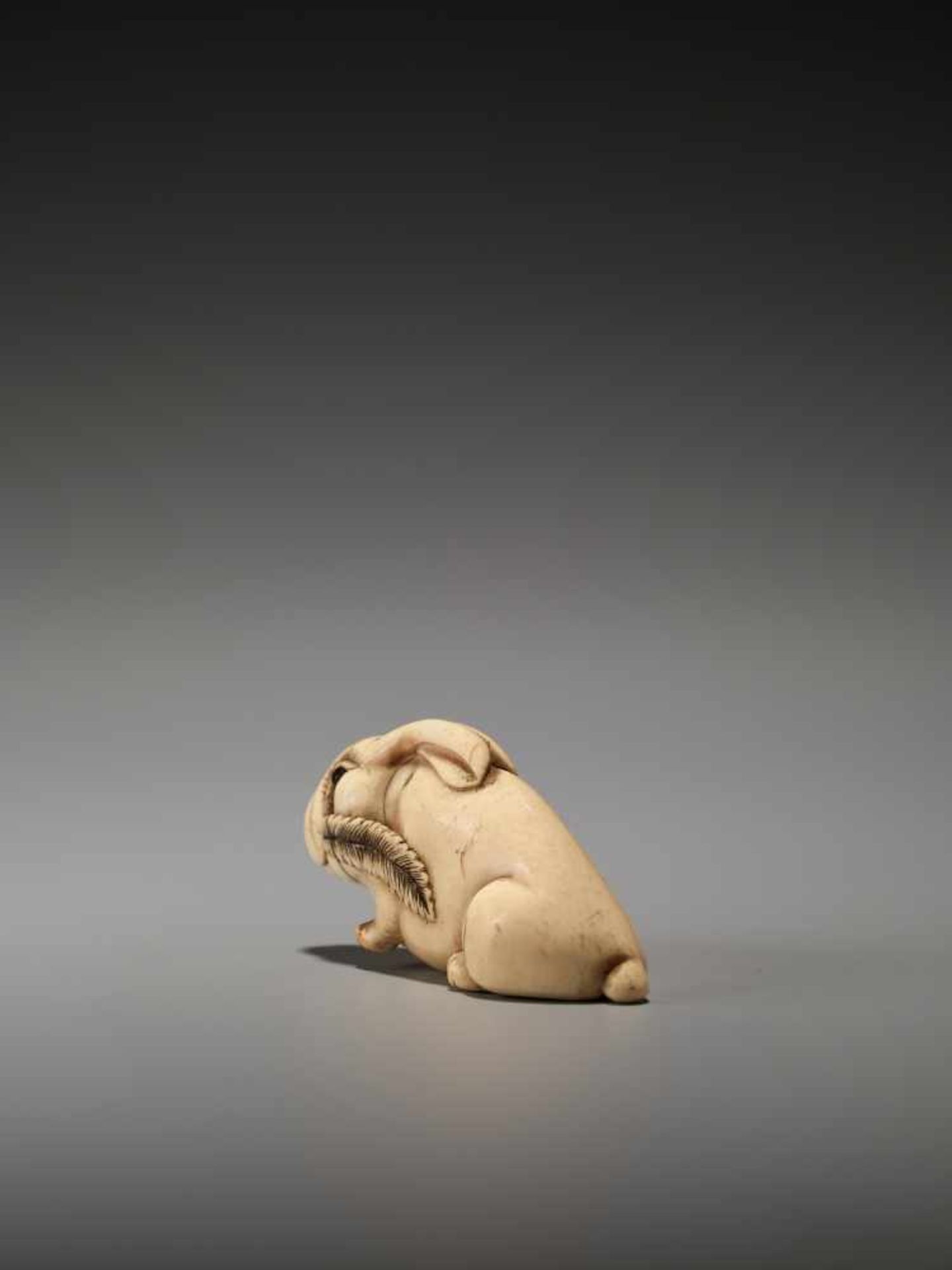 AN UNUSUAL AND AMUSING IVORY NETSUKE OF A RABBITUnsigned, ivory netsukeJapan, 19th century, Edo - Bild 3 aus 6