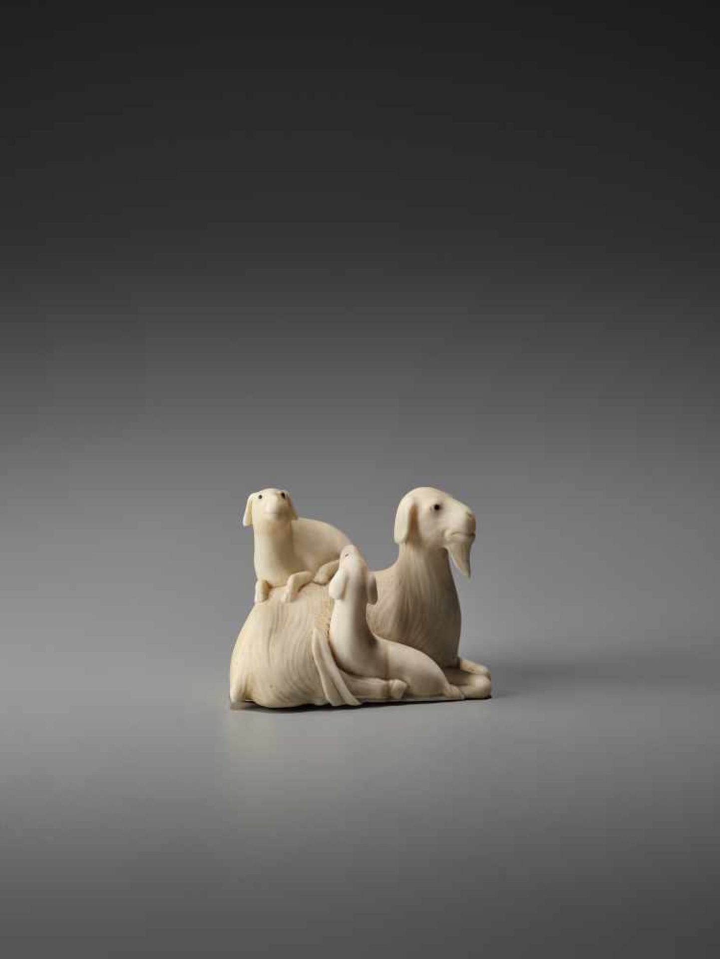 A FINE IVORY NETSUKE OF GROUP OF GOATS AFTER KAIGYOKUSAI MASATSUGU (1813-1892) Signed Kaigyokusai, - Bild 3 aus 9