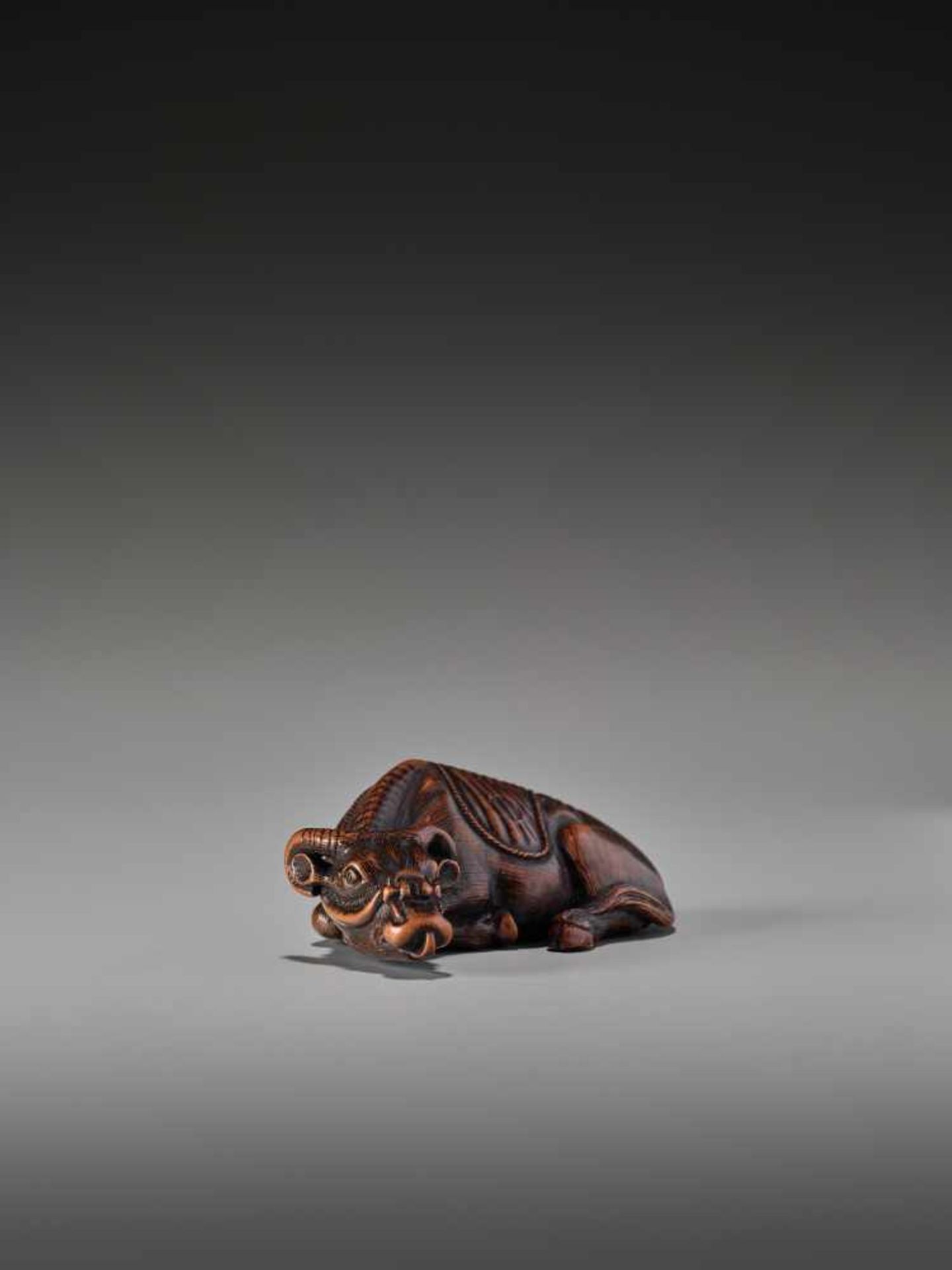 A RARE WOOD NETSUKE OF A RECUMBENT OX SIGNED TOMOTADASigned Tomotada, wood netsukeJapan, 19th - Bild 6 aus 8