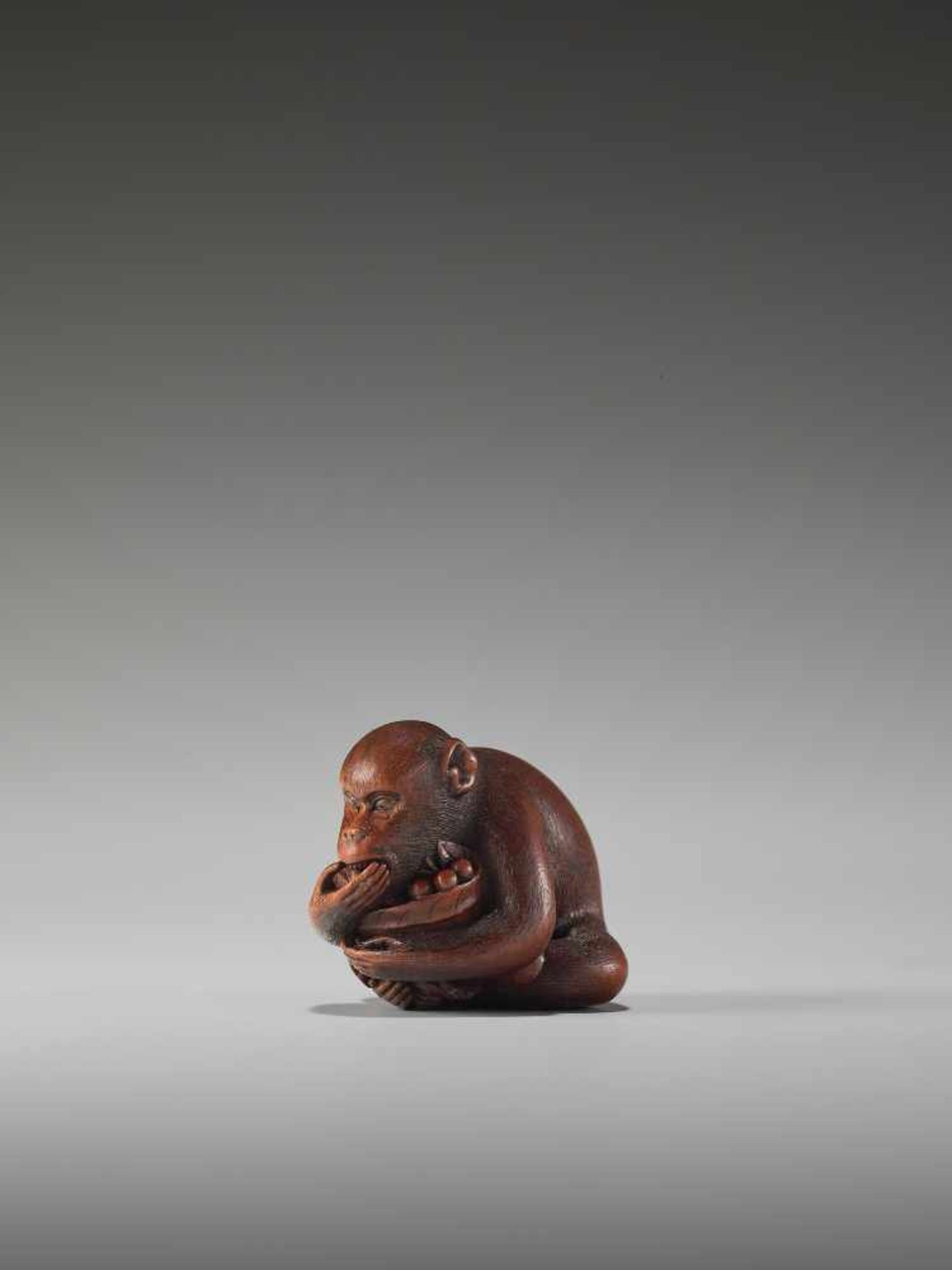 AN EXCELLENT WOOD NETSUKE OF A MONKEY EATING BERRIES BY KANO TOMOKAZUBy Tomokazu, wood netsukeJapan, - Image 5 of 11