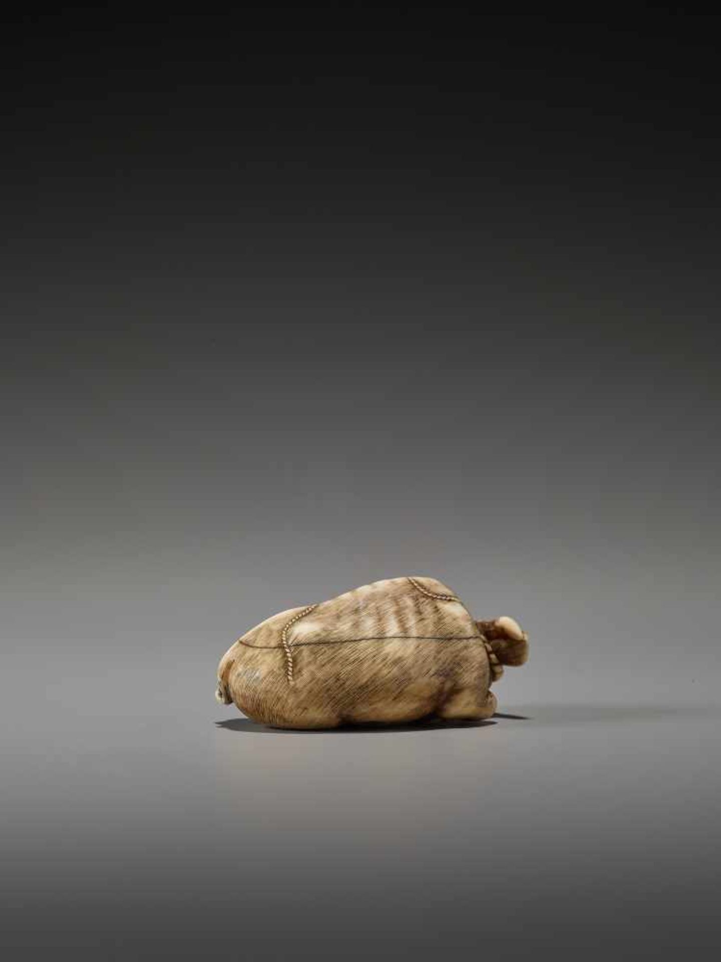 AN EXCELLENT IVORY NETSUKE OF A RECUMBENT OX BY TOMOTADABy Tomotada, ivory netsukeJapan, Kyoto, 18th - Image 4 of 12