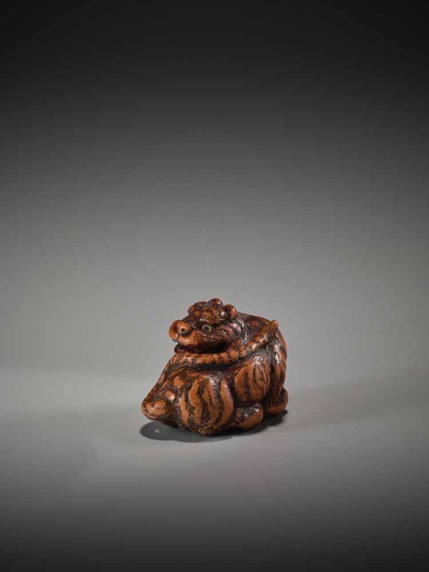 A WOOD NETSUKE OF A TIGER BY TANAKA MINKO (1735-1816)By Minko, wood netsukeJapan, Tsu, Ise province, - Image 3 of 10