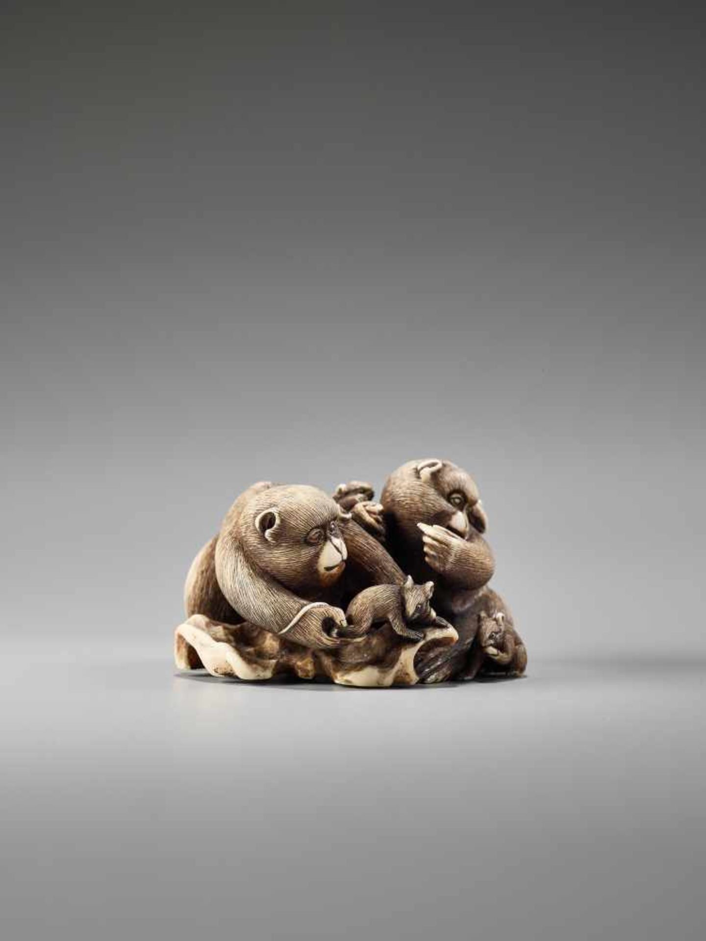 AN IVORY NETSUKE OF MONKEYS AND RATS BY GYOKUMINBy Gyokumin, ivory netsukeJapan, 19th century, Edo - Image 5 of 7