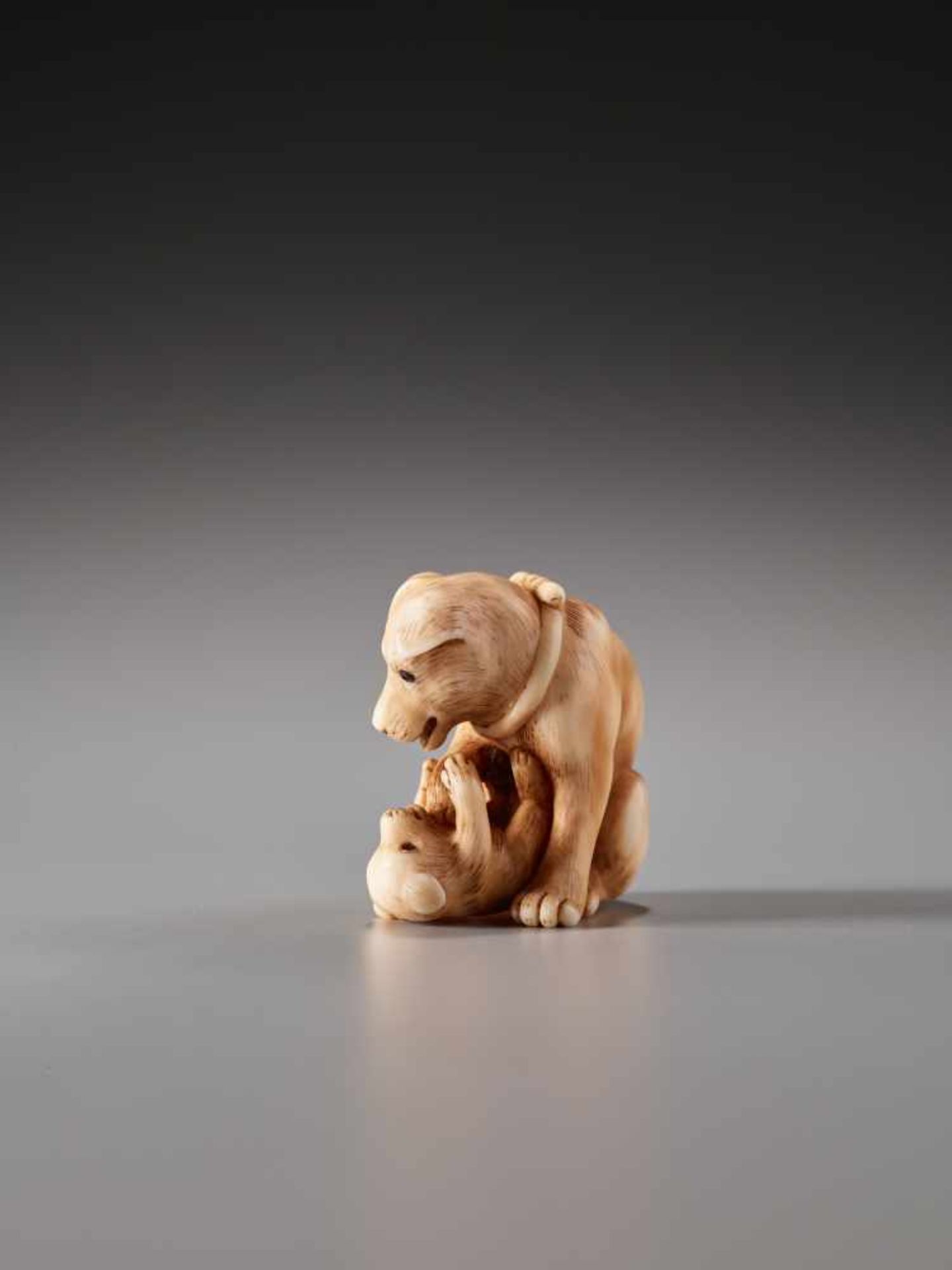 A CHARMING AND FINE NETSUKE OF A DOG WITH PUP BY TANETOSHIBy Tanetoshi, ivory netsukeJapan, 20th - Bild 5 aus 9