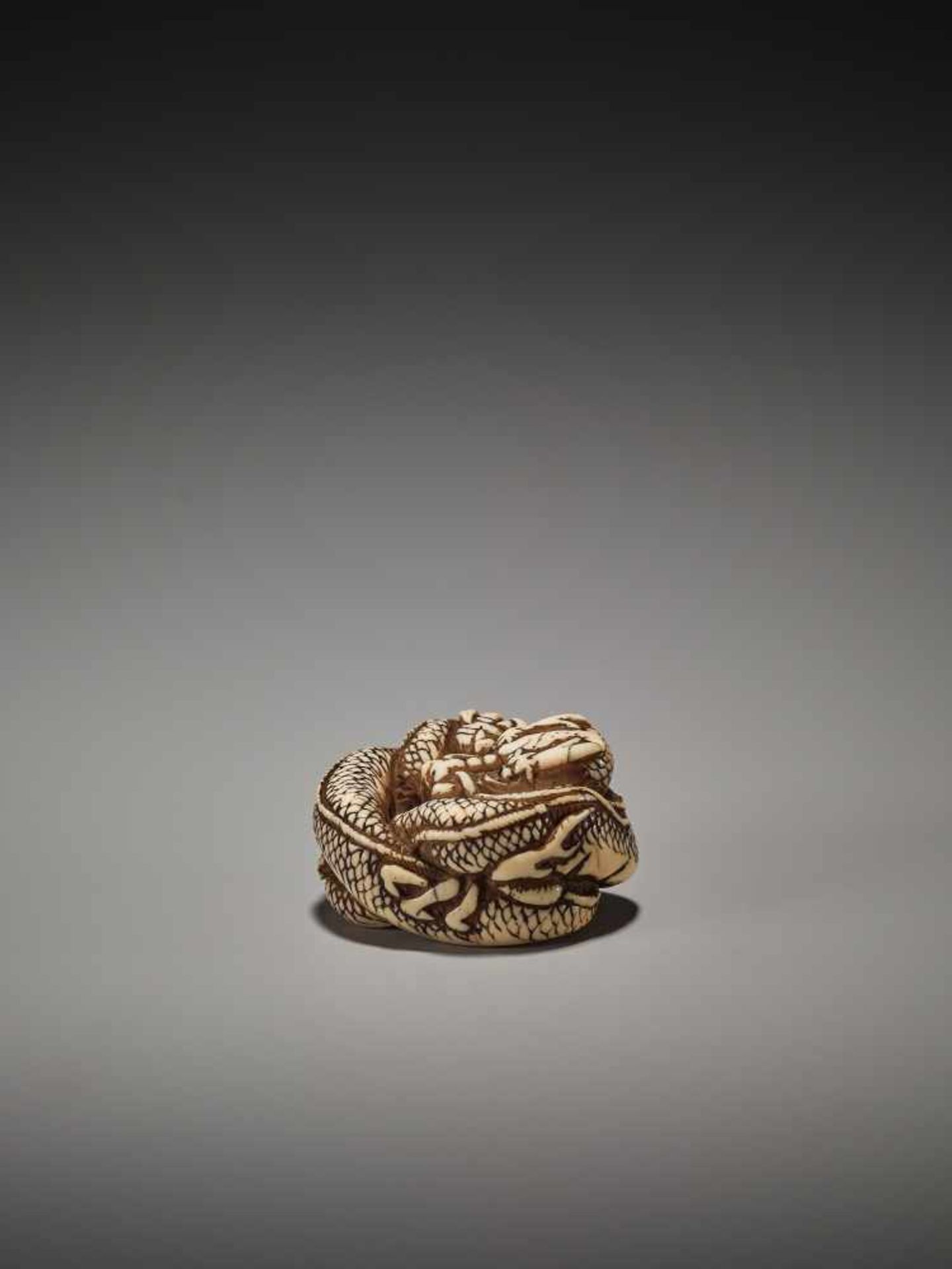 A KYOTO-SCHOOL IVORY NETSUKE OF A COILED DRAGONUnsigned, ivory netsukeJapan, Kyoto, late 18th to - Image 3 of 8