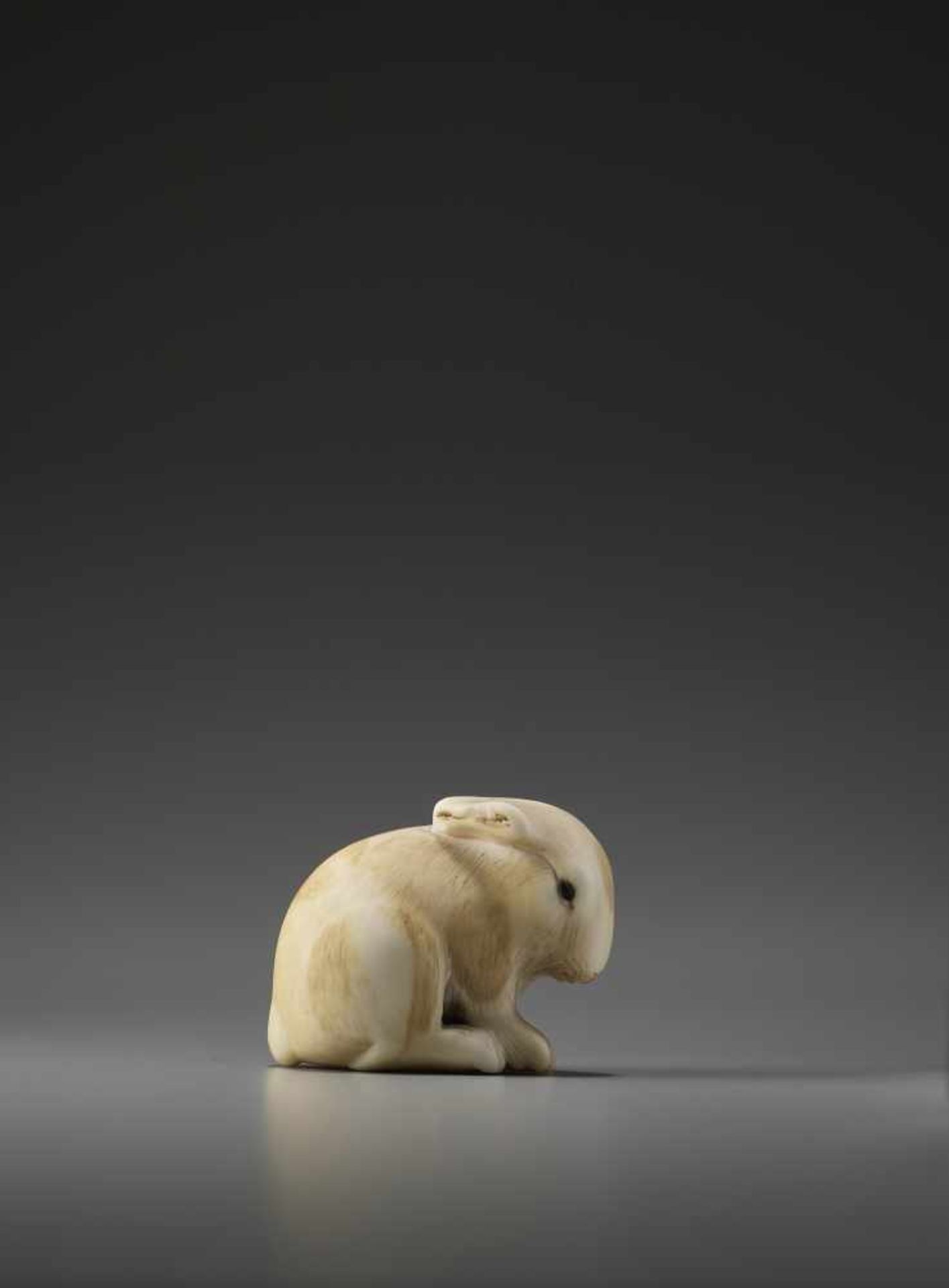 AN IVORY NETSUKE OF A PIEBALD RABBIT BY RANICHIBy Ranichi, ivory netsukeJapan, Kyoto, 19th - Bild 4 aus 9