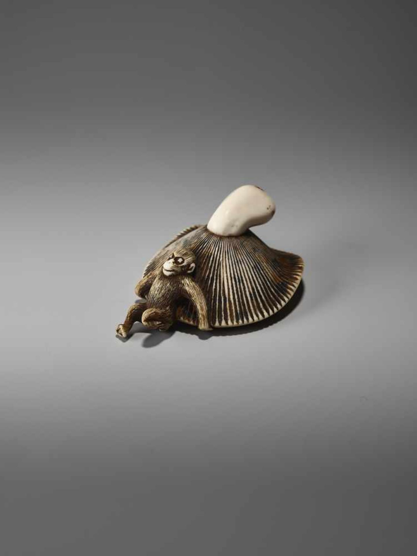 AN AMUSING IVORY NETSUKE OF A SMALL MONKEY CARRYING A LARGE MUSHROOMUnsigned, ivory netsukeJapan, - Bild 5 aus 9