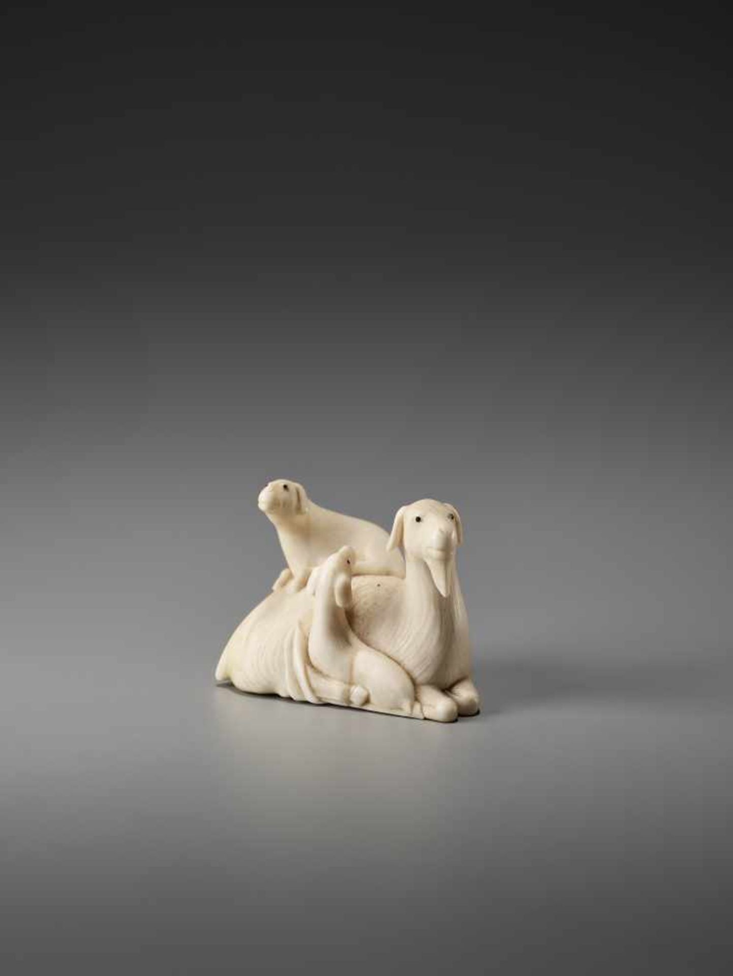 A FINE IVORY NETSUKE OF GROUP OF GOATS AFTER KAIGYOKUSAI MASATSUGU (1813-1892) Signed Kaigyokusai,