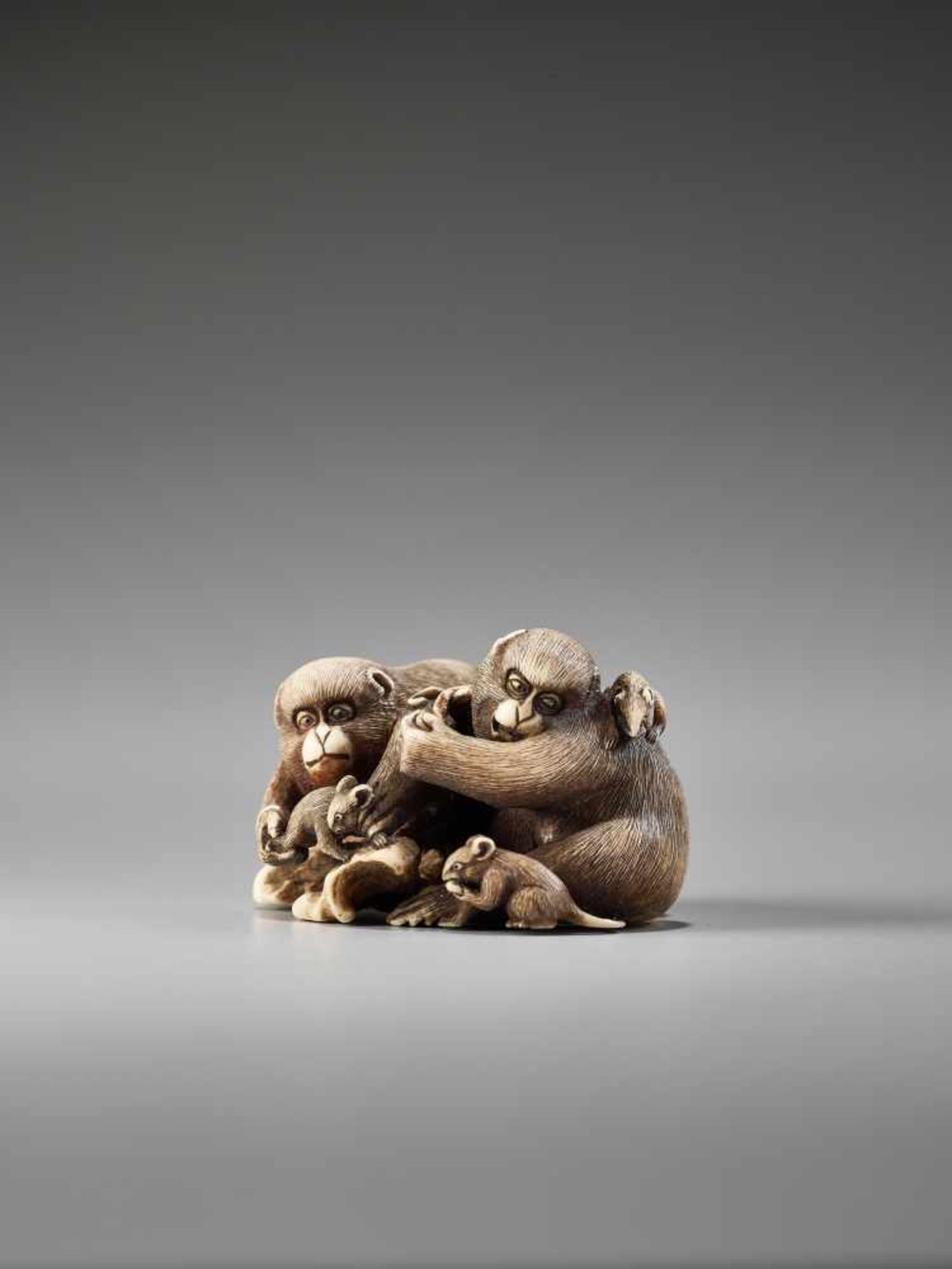 AN IVORY NETSUKE OF MONKEYS AND RATS BY GYOKUMINBy Gyokumin, ivory netsukeJapan, 19th century, Edo - Image 2 of 7
