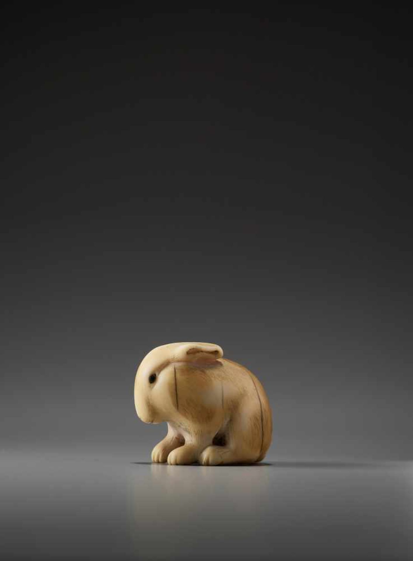 AN IVORY NETSUKE OF A PIEBALD RABBIT BY RANICHIBy Ranichi, ivory netsukeJapan, Kyoto, 19th - Bild 2 aus 9