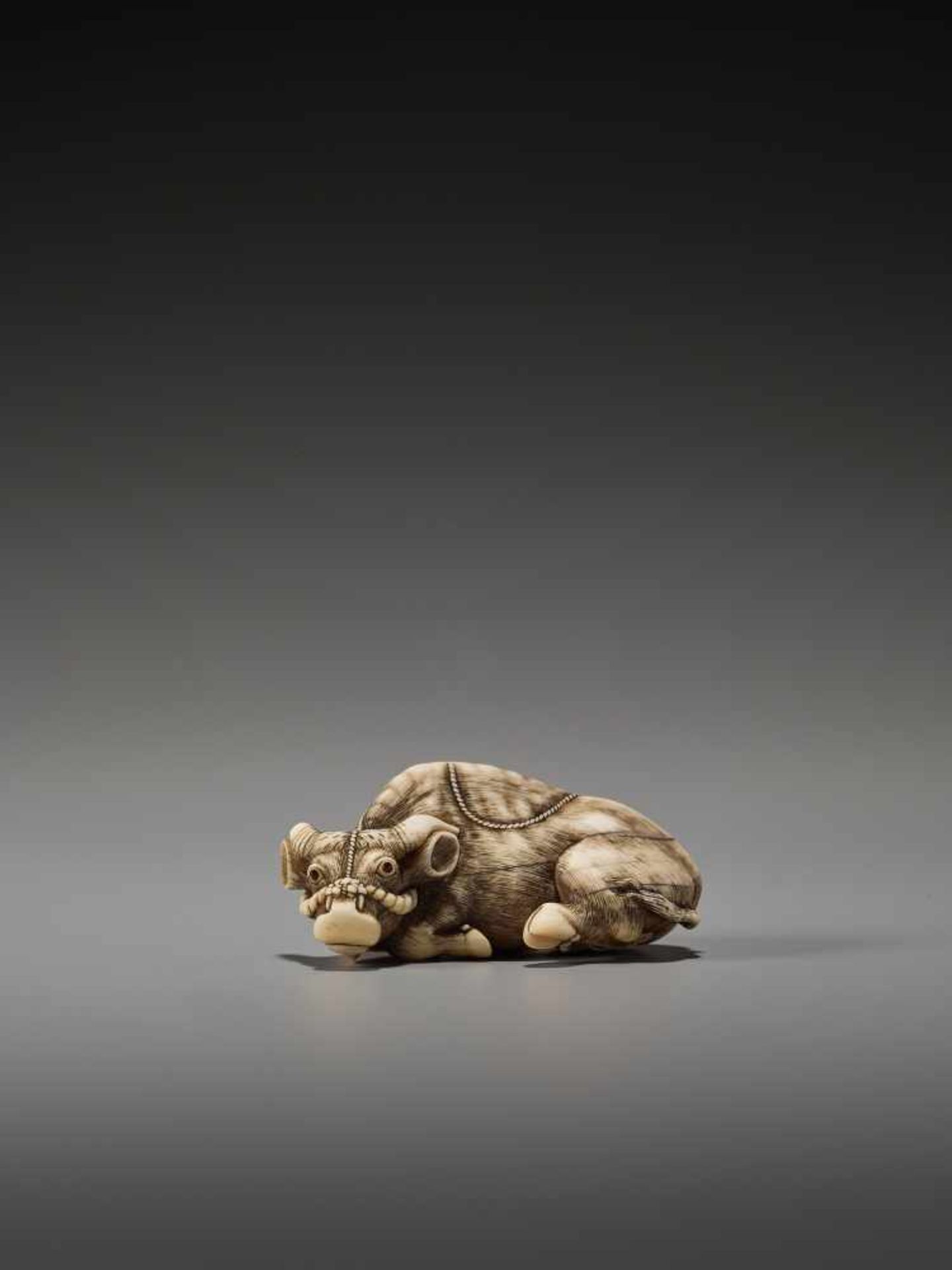 AN EXCELLENT IVORY NETSUKE OF A RECUMBENT OX BY TOMOTADABy Tomotada, ivory netsukeJapan, Kyoto, 18th - Image 8 of 12