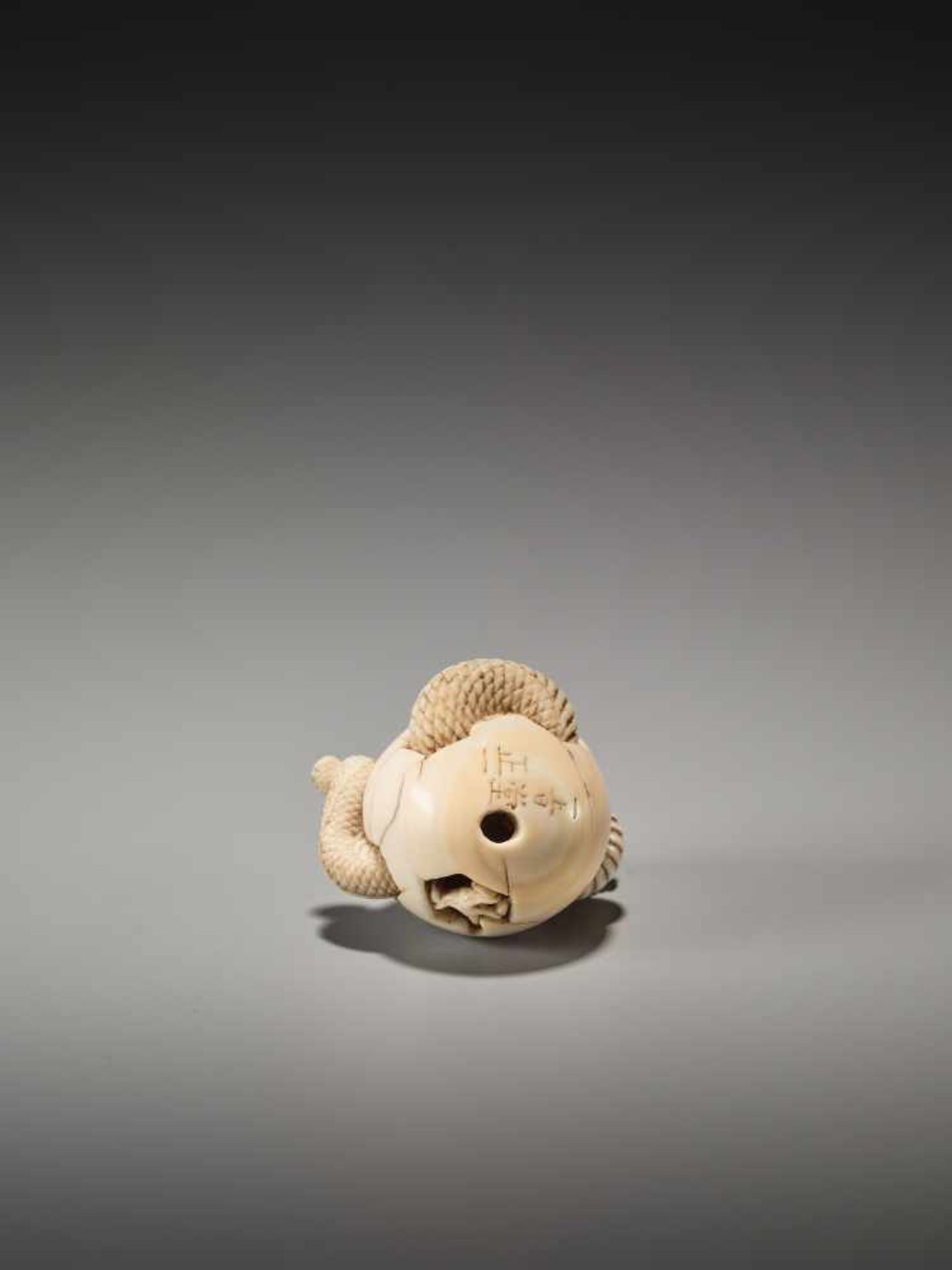 A VERY RARE IVORY NETSUKE OF A DRAGON HATCHING FROM AN EGG BY ICHISHIDO MASAKAZUBy Ichishido - Bild 8 aus 10