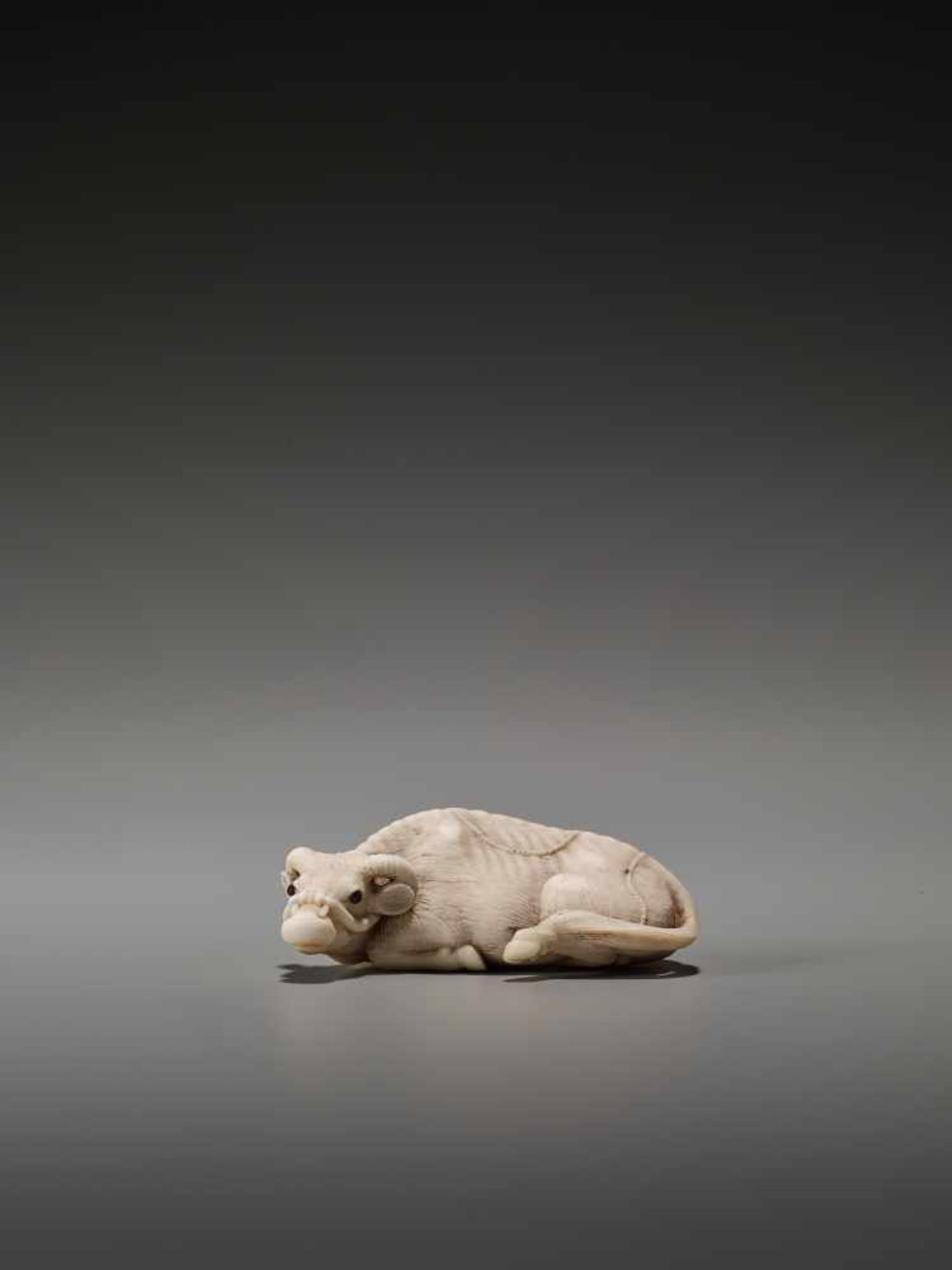 A FINE IVORY NETSUKE OF A RECUMBENT OX AFTER TOMOTADAAfter Tomotada, ivory netsukeJapan, Kyoto, 19th - Image 3 of 8