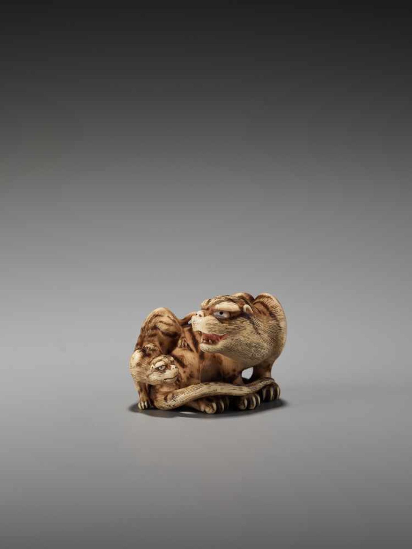 AN EXCEPTIONAL IVORY NETSUKE OF A TIGER WITH CUB BY HAKURYUBy Hakuryu, ivory netsukeJapan, Kyoto, - Image 7 of 13