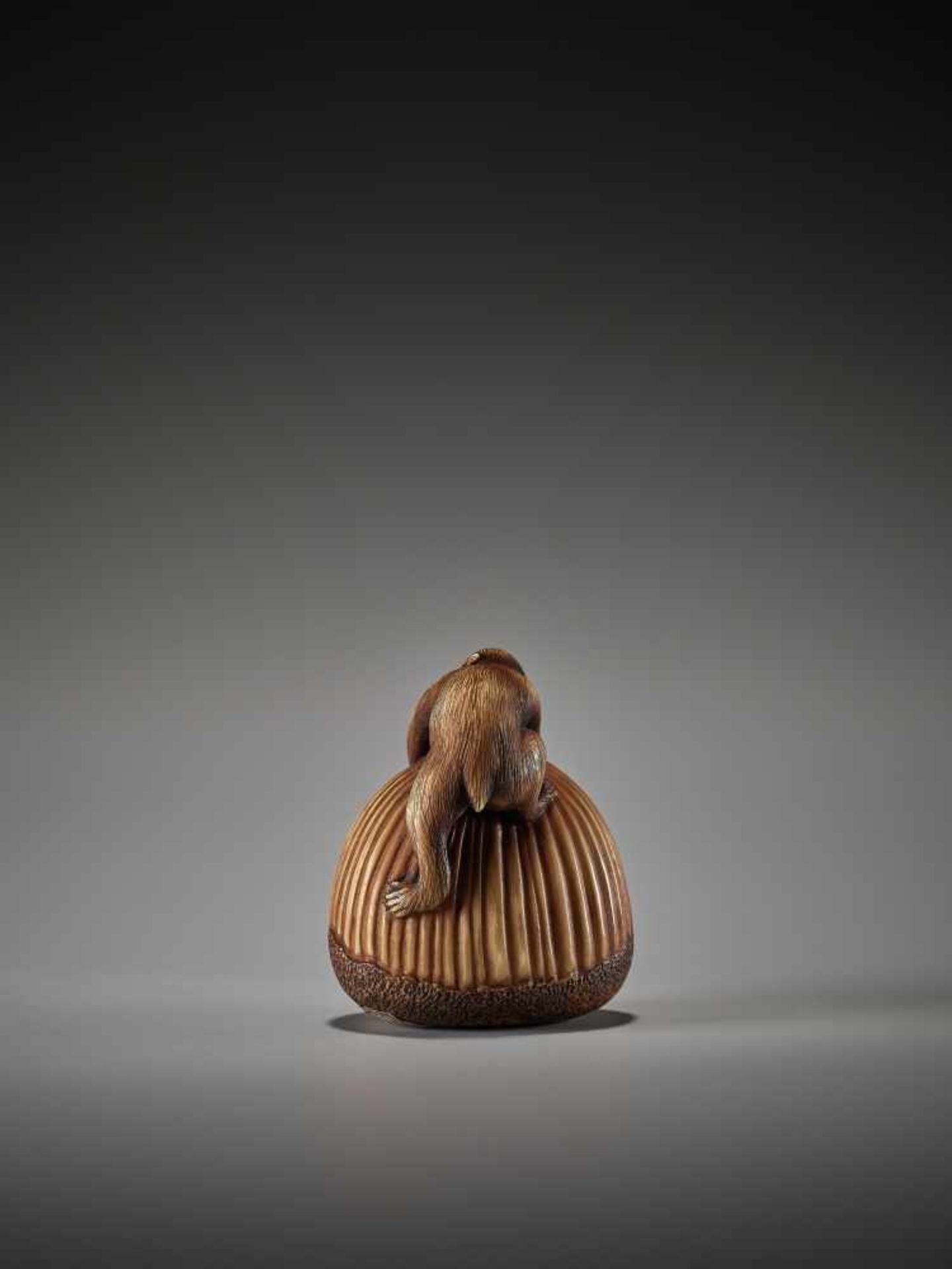 AN AMUSING IVORY NETSUKE OF TWO ACROBATIC MONKEYS IN A CHESTNUT BY TAMEKAZUBy Tamekazu, ivory - Bild 2 aus 7