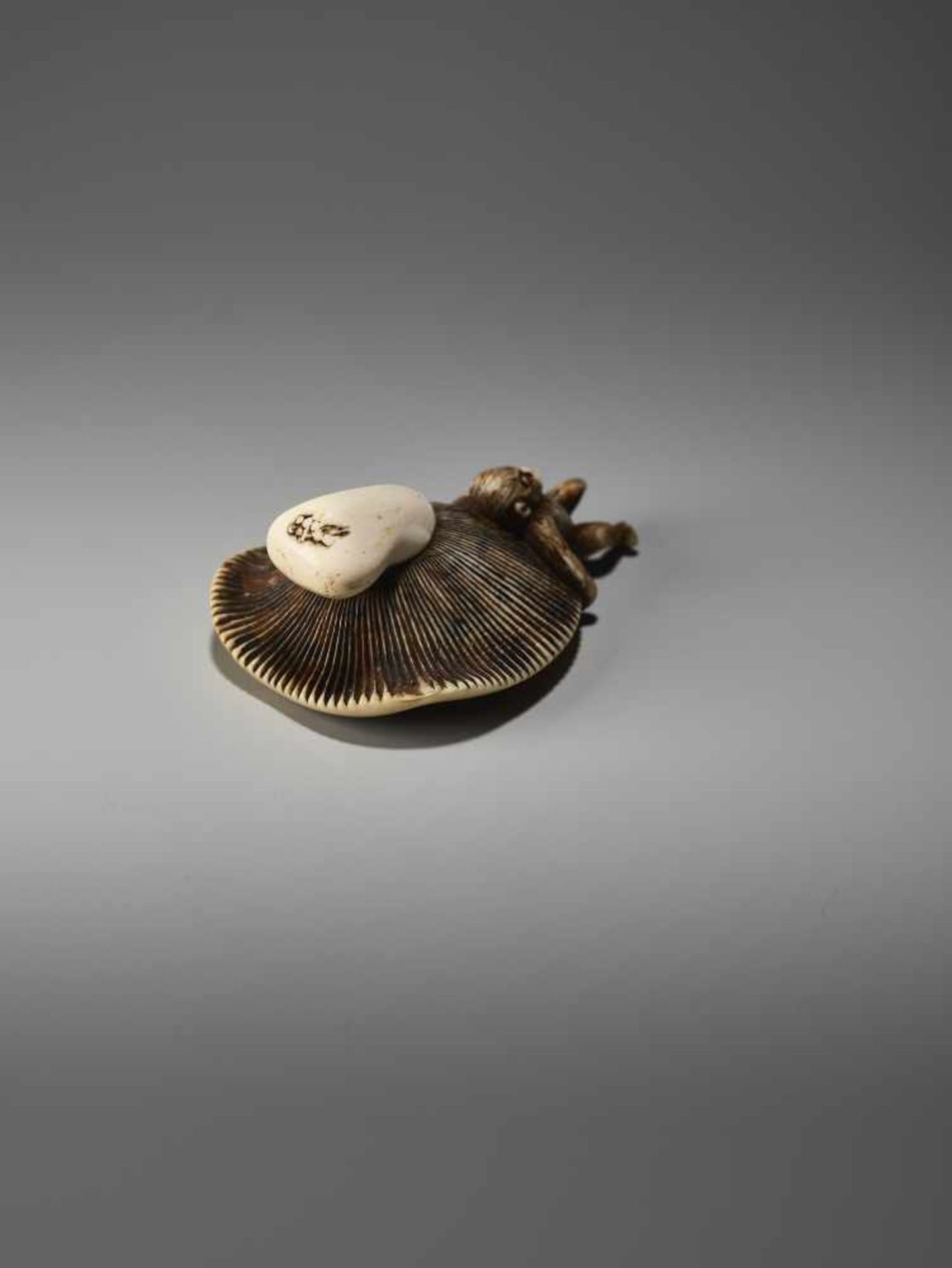 AN AMUSING IVORY NETSUKE OF A SMALL MONKEY CARRYING A LARGE MUSHROOMUnsigned, ivory netsukeJapan, - Bild 7 aus 9