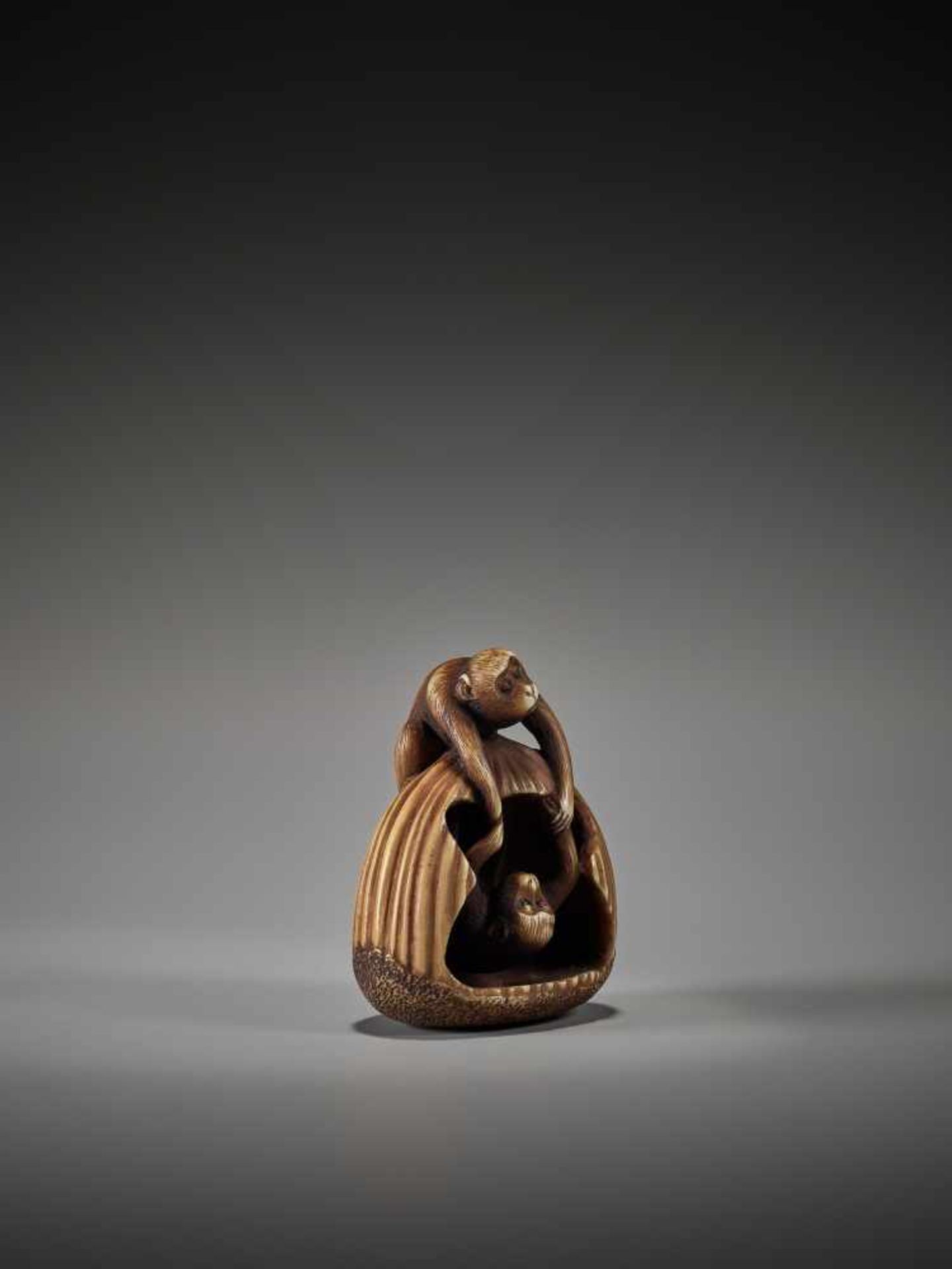 AN AMUSING IVORY NETSUKE OF TWO ACROBATIC MONKEYS IN A CHESTNUT BY TAMEKAZUBy Tamekazu, ivory - Bild 5 aus 7