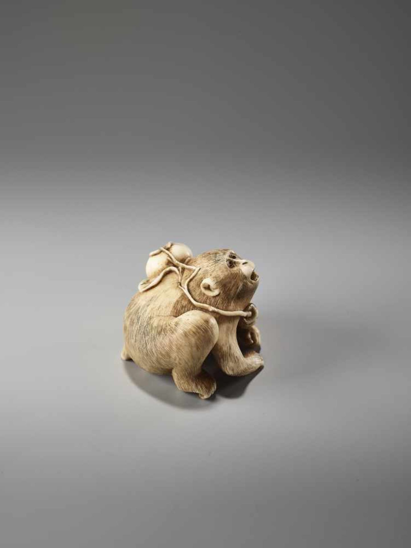 AN IVORY NETSUKE OF A MONKEY WITH KAKI FRUIT BY MASATAMIBy Masatami, ivory netsukeJapan, Tokyo, late - Image 4 of 9