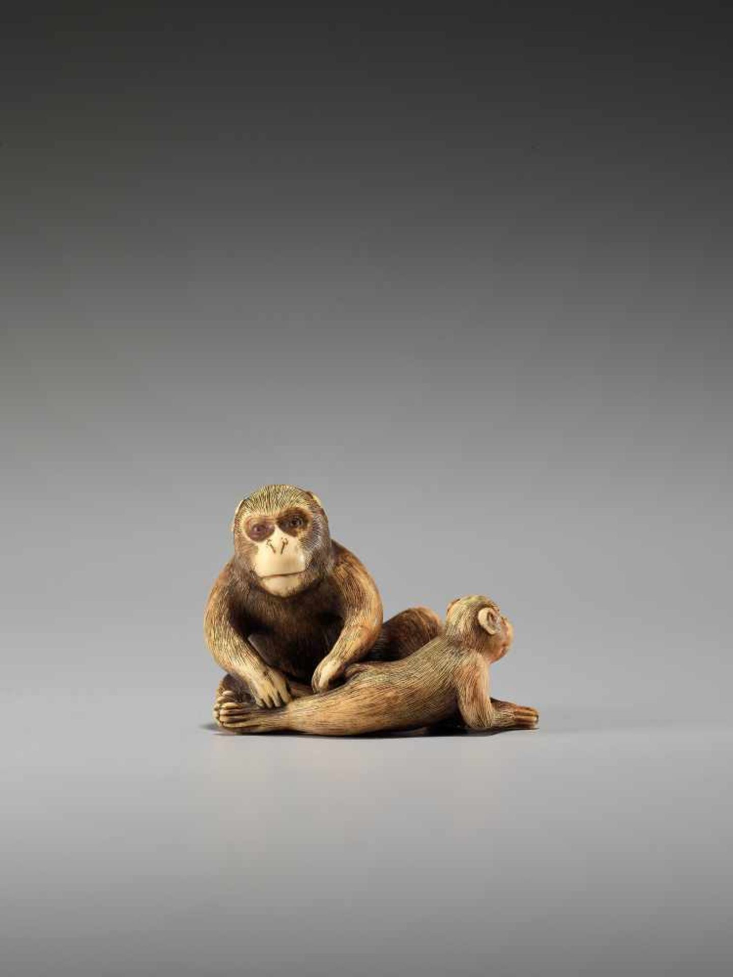 A RARE IVORY NETSUKE OF TWO GROOMING MONKEYS BY MASANAO OF KYOTOBy Masanao, ivory netsukeJapan, - Bild 8 aus 11