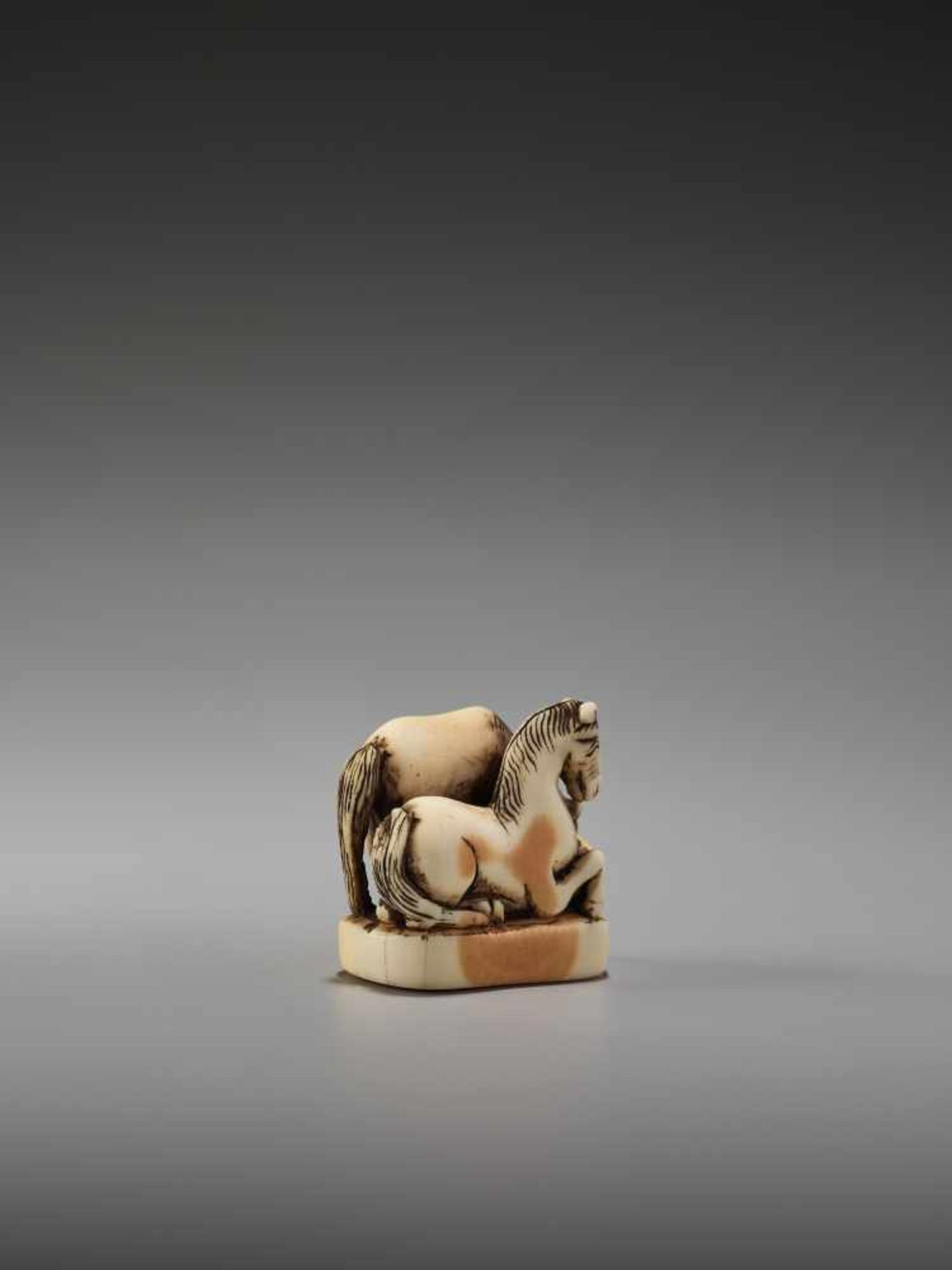 AN IVORY NETSUKE OF TWO HORSES ON A BASEUnsigned, ivory netsukeJapan, early 19th century, Edo period - Bild 5 aus 9